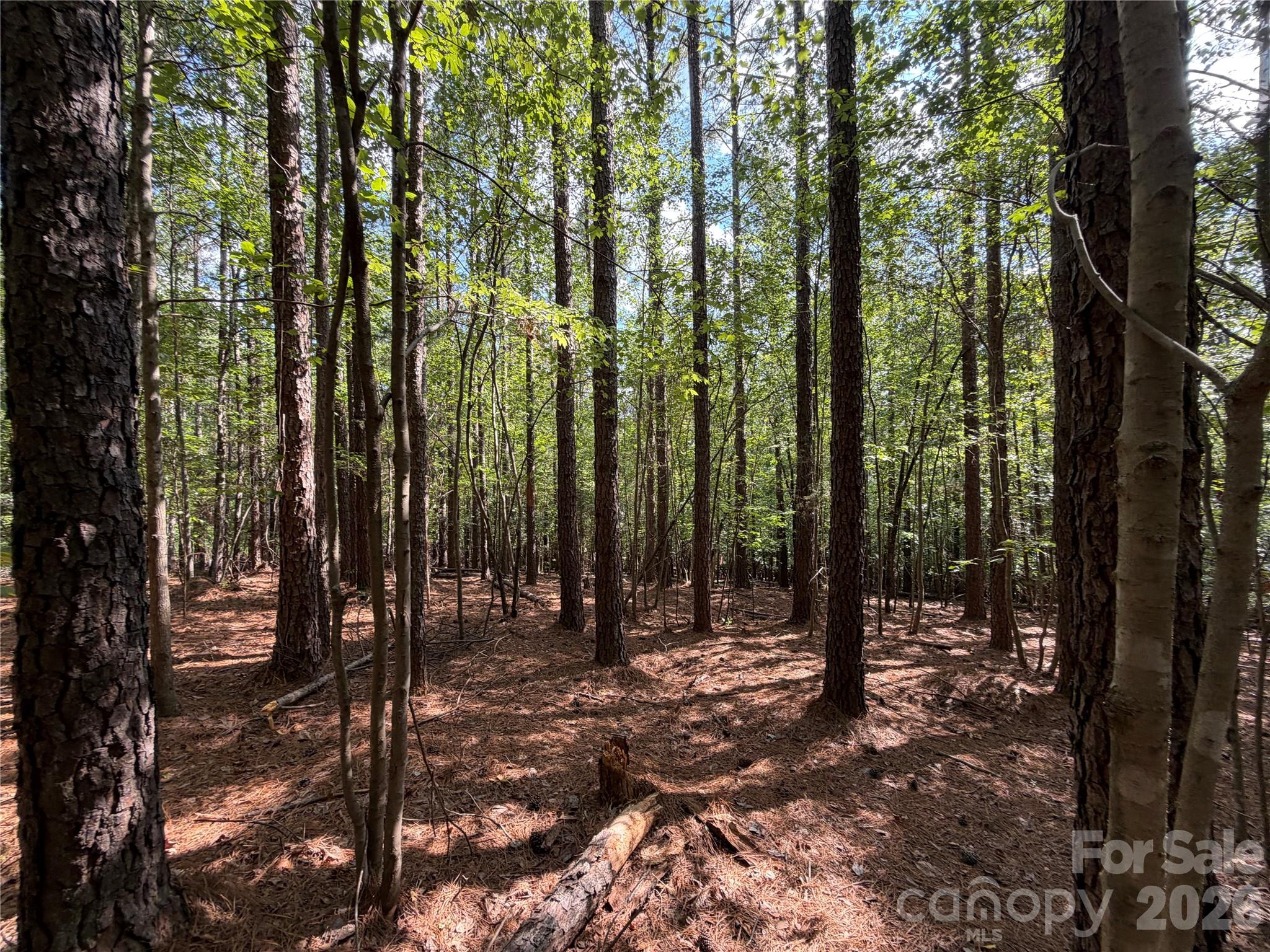 9212 Rustic Creek Trail Property Photo 20