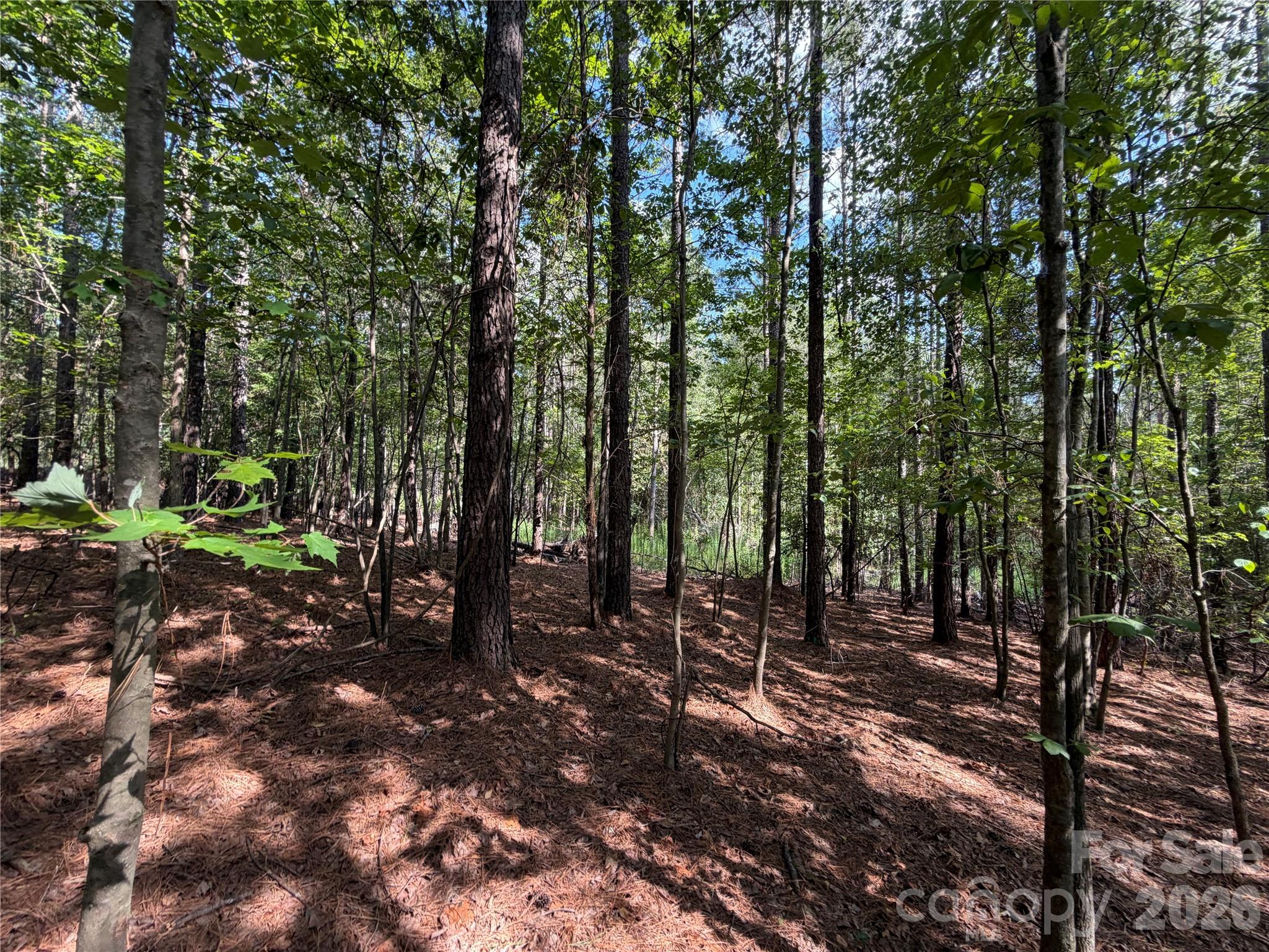 9212 Rustic Creek Trail Property Photo 21