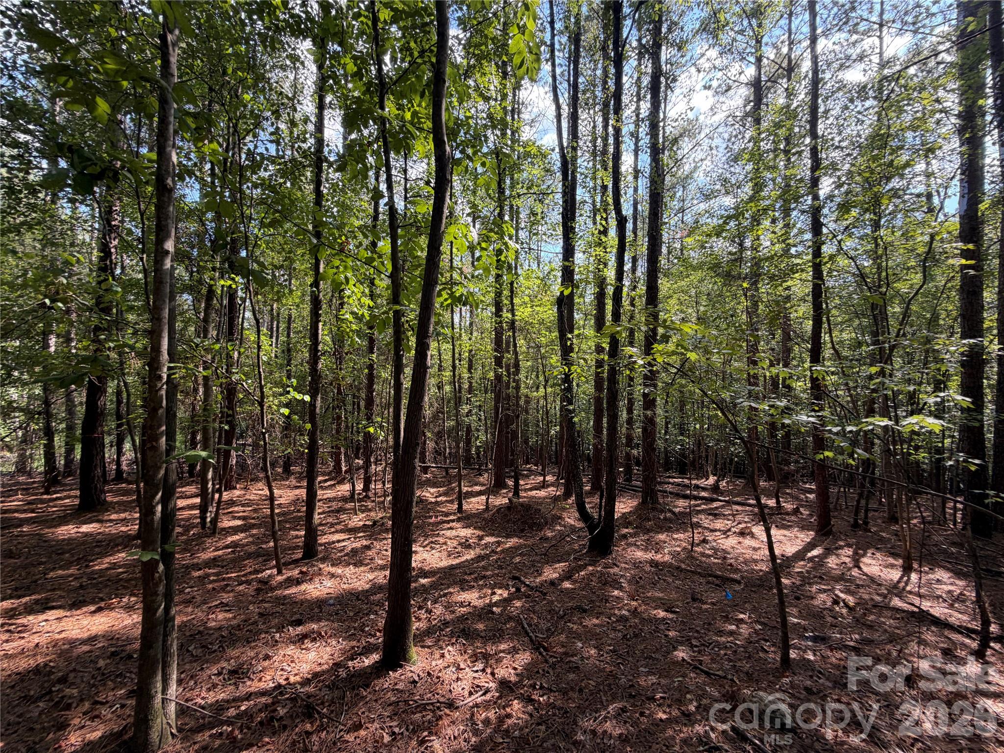9212 Rustic Creek Trail Property Photo 22