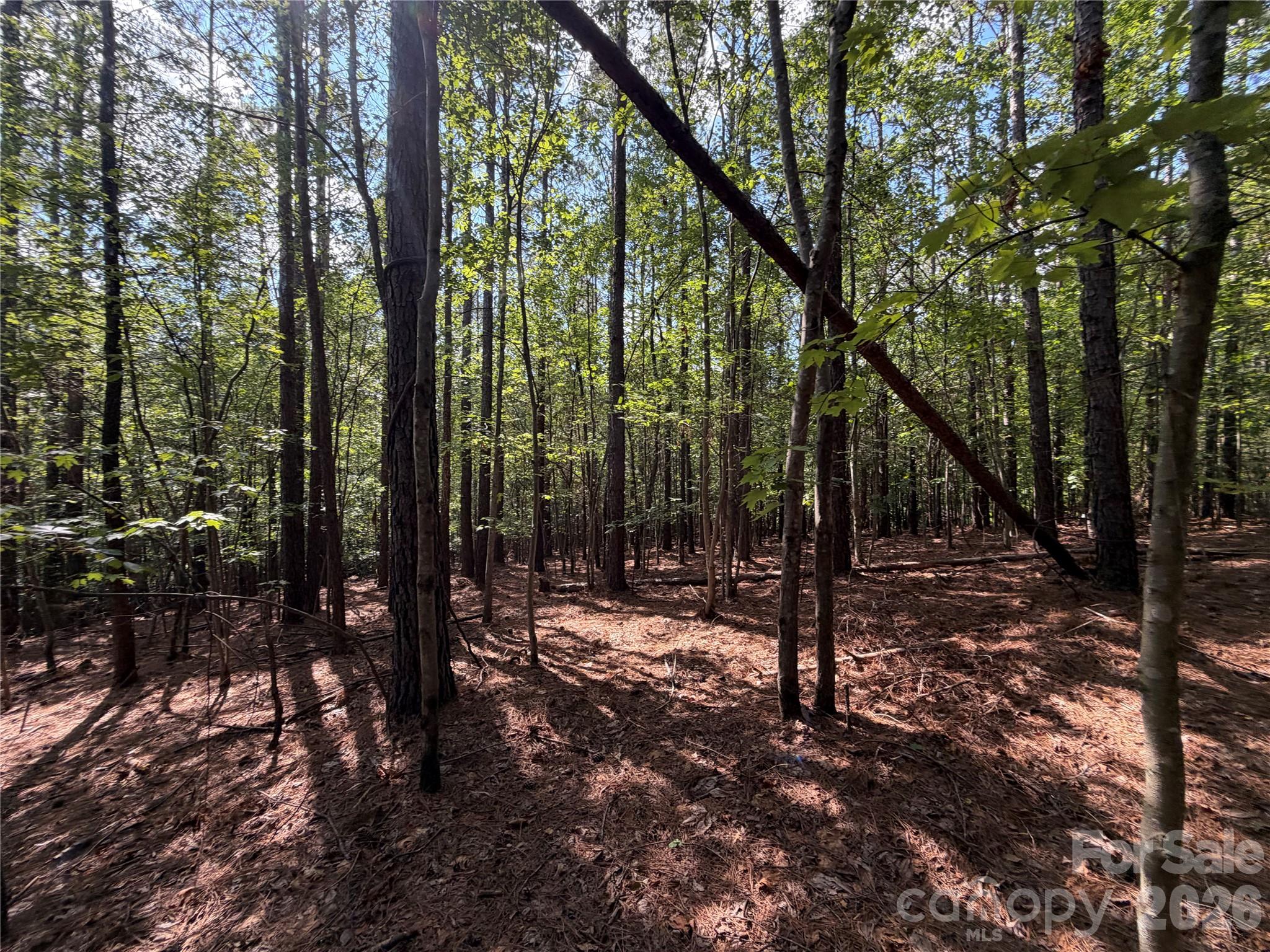 9212 Rustic Creek Trail Property Photo 23