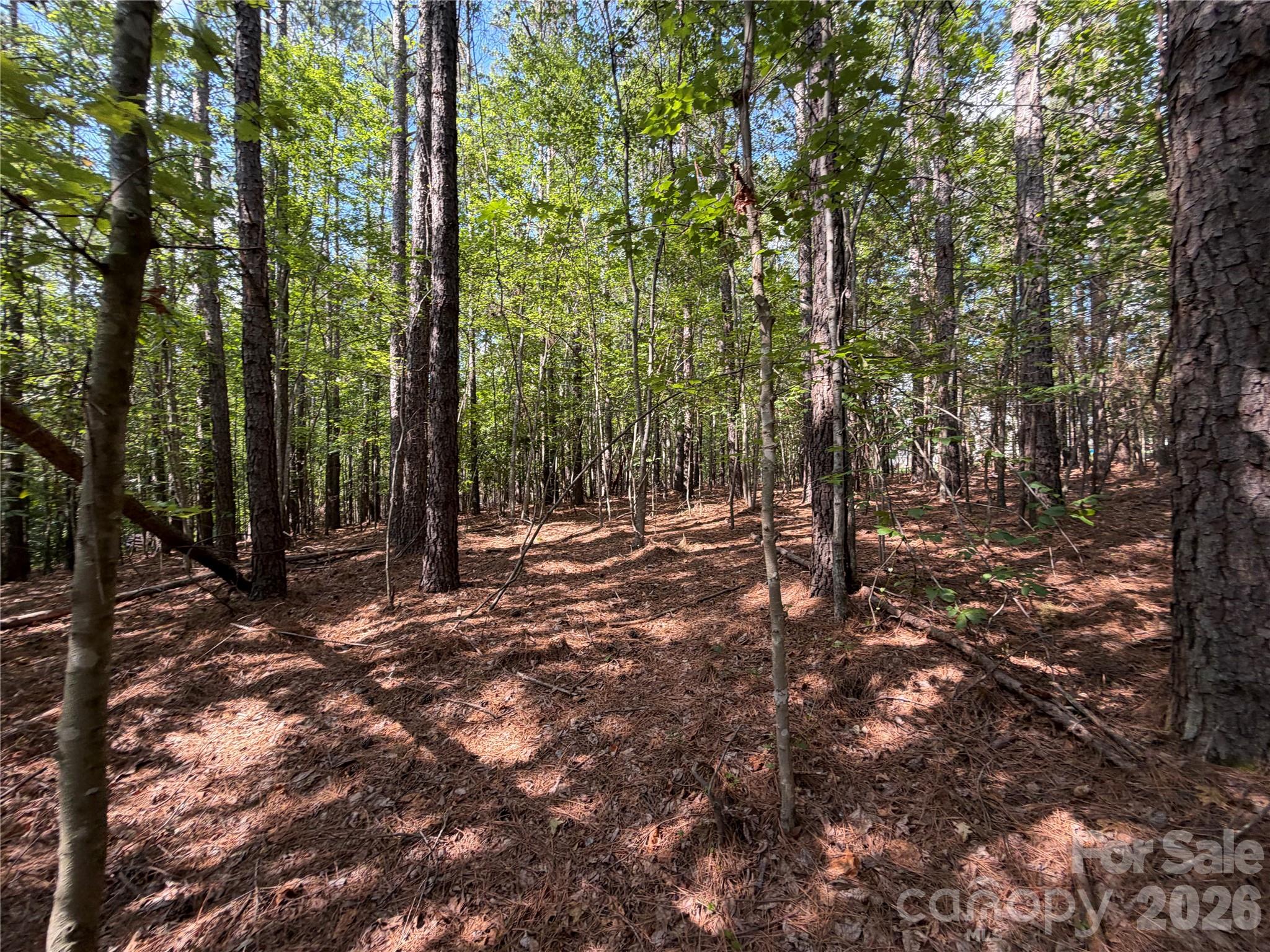 9212 Rustic Creek Trail Property Photo 24