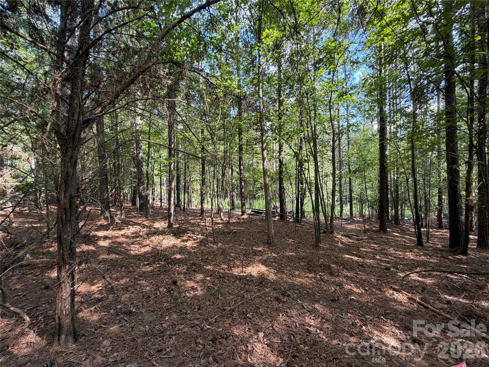9212 Rustic Creek Trail Property Photo 25