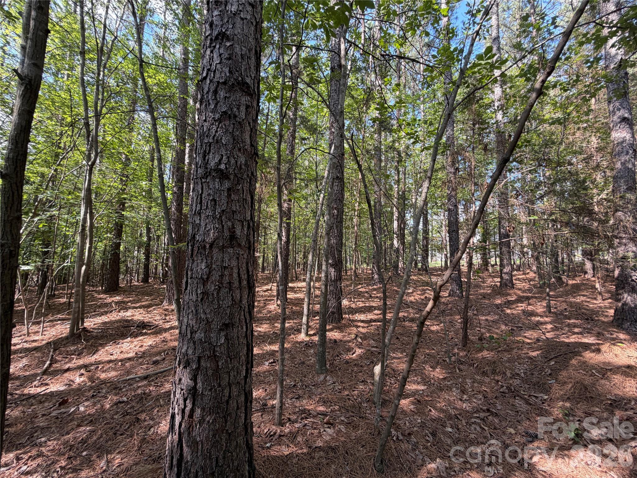9212 Rustic Creek Trail Property Photo 26