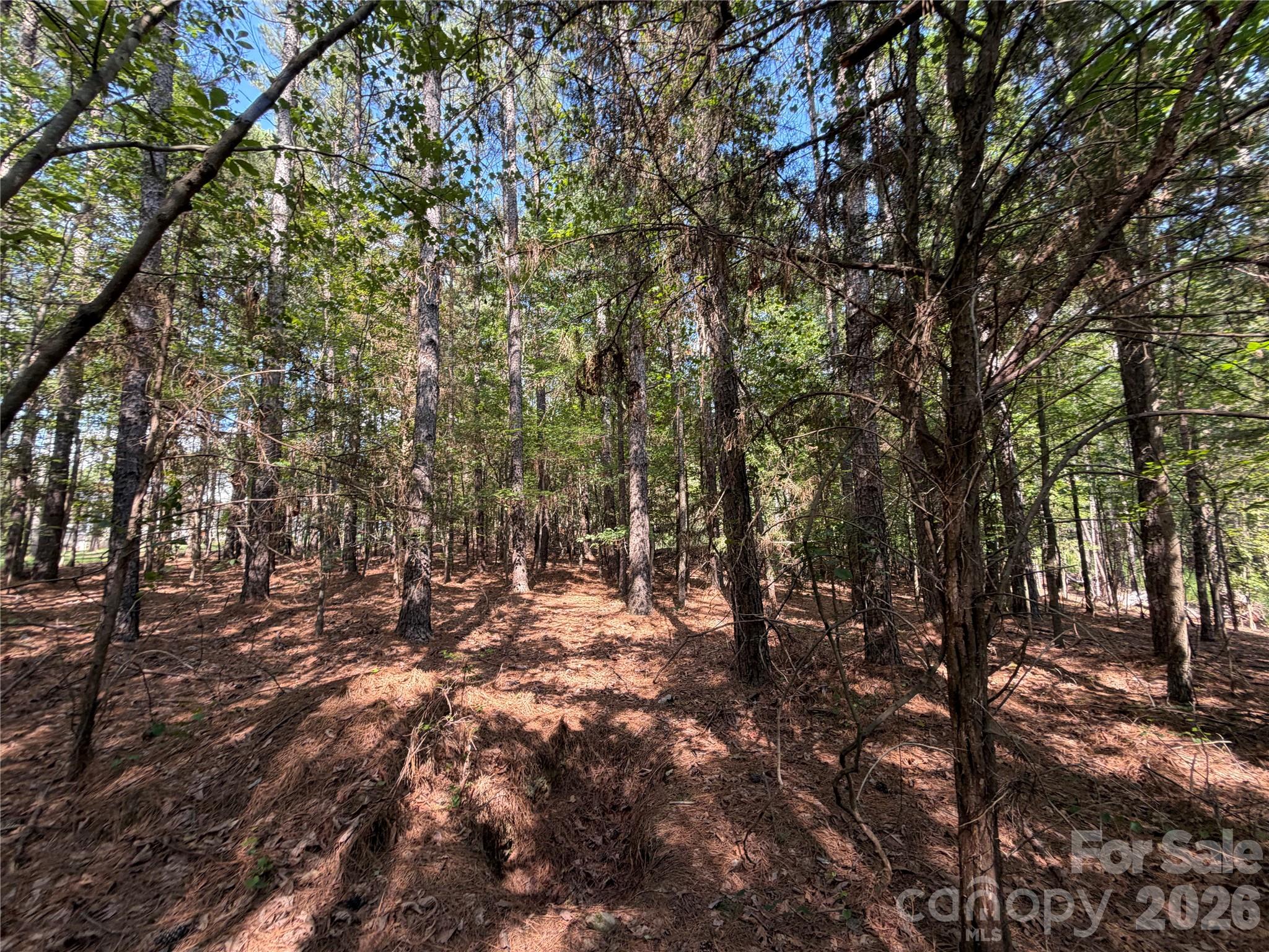 9212 Rustic Creek Trail Property Photo 27
