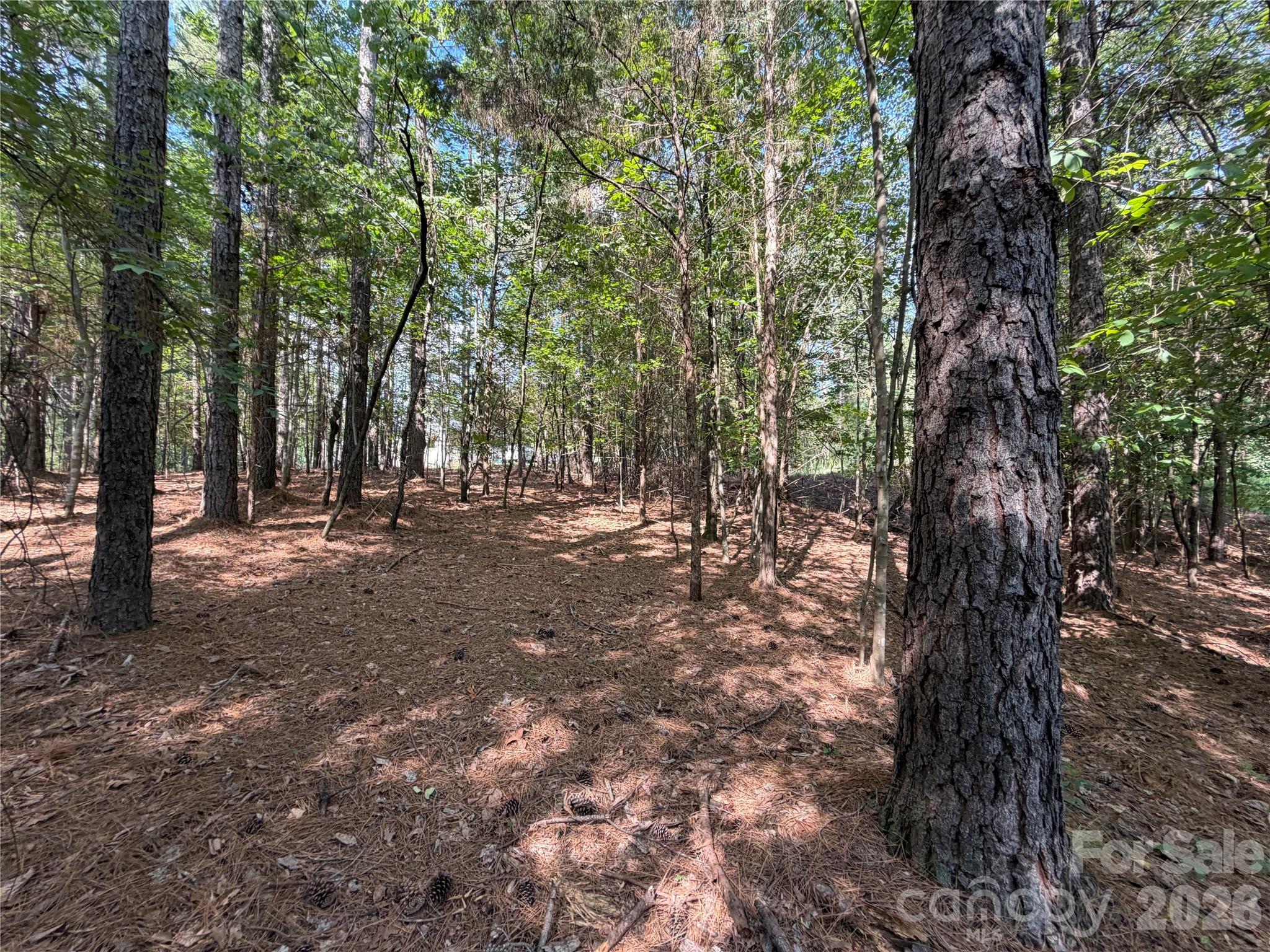 9212 Rustic Creek Trail Property Photo 28
