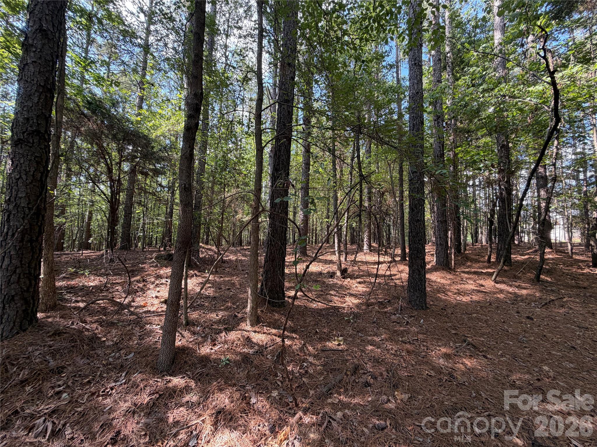 9212 Rustic Creek Trail Property Photo 29