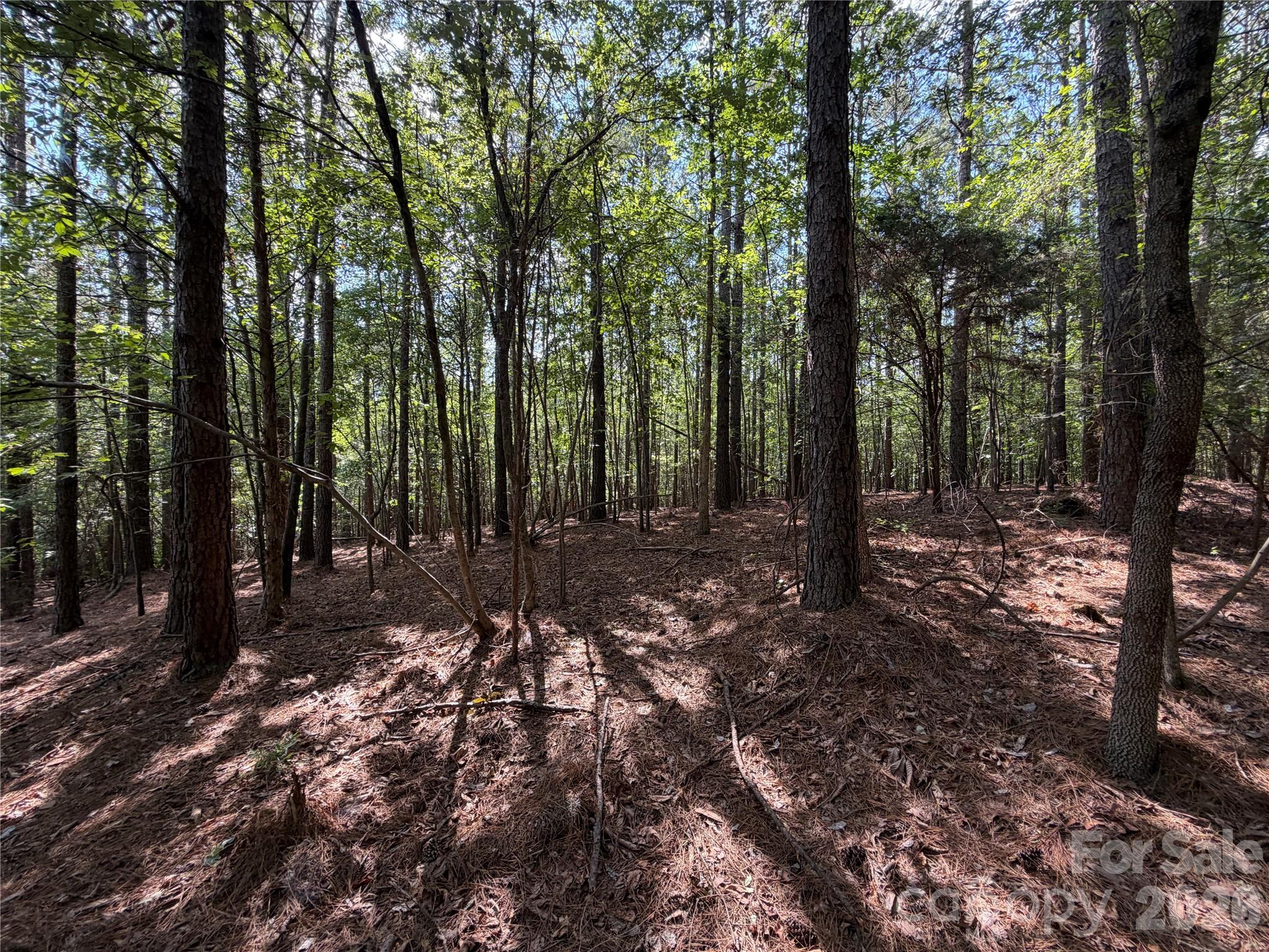 9212 Rustic Creek Trail Property Photo 30