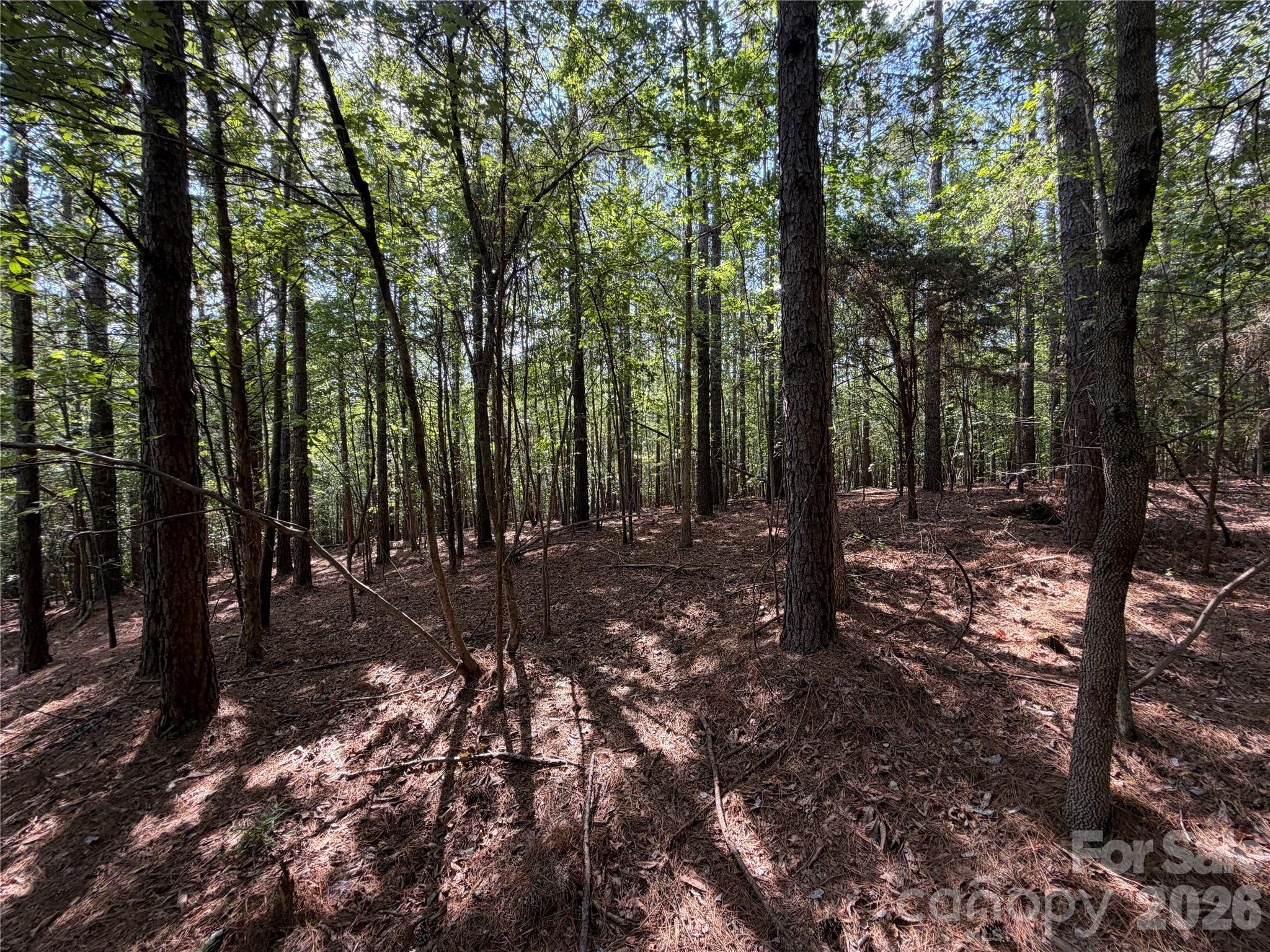 9212 Rustic Creek Trail Property Photo 31