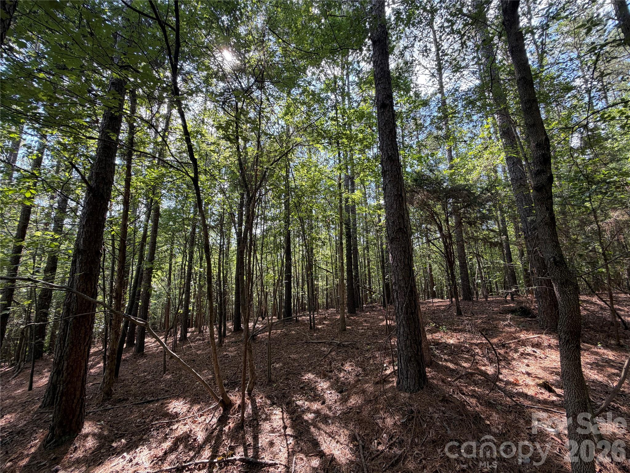 9212 Rustic Creek Trail Property Photo 32