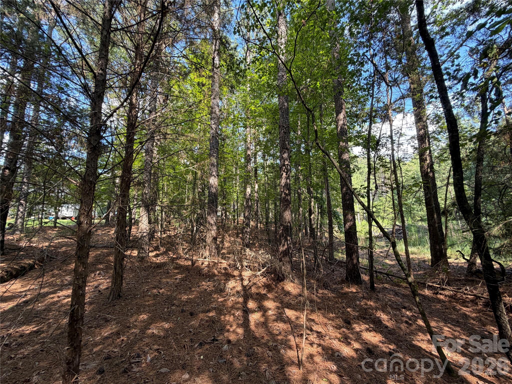 9212 Rustic Creek Trail Property Photo 33