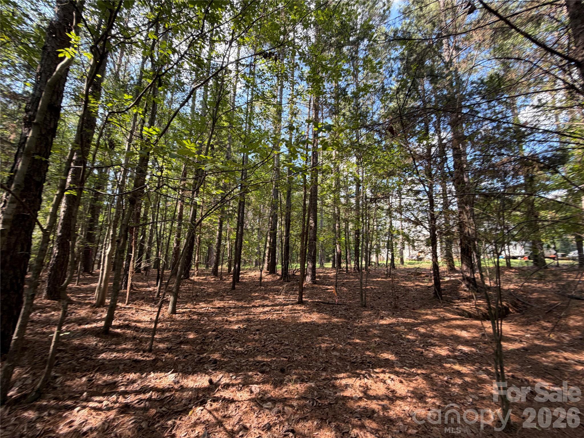 9212 Rustic Creek Trail Property Photo 34