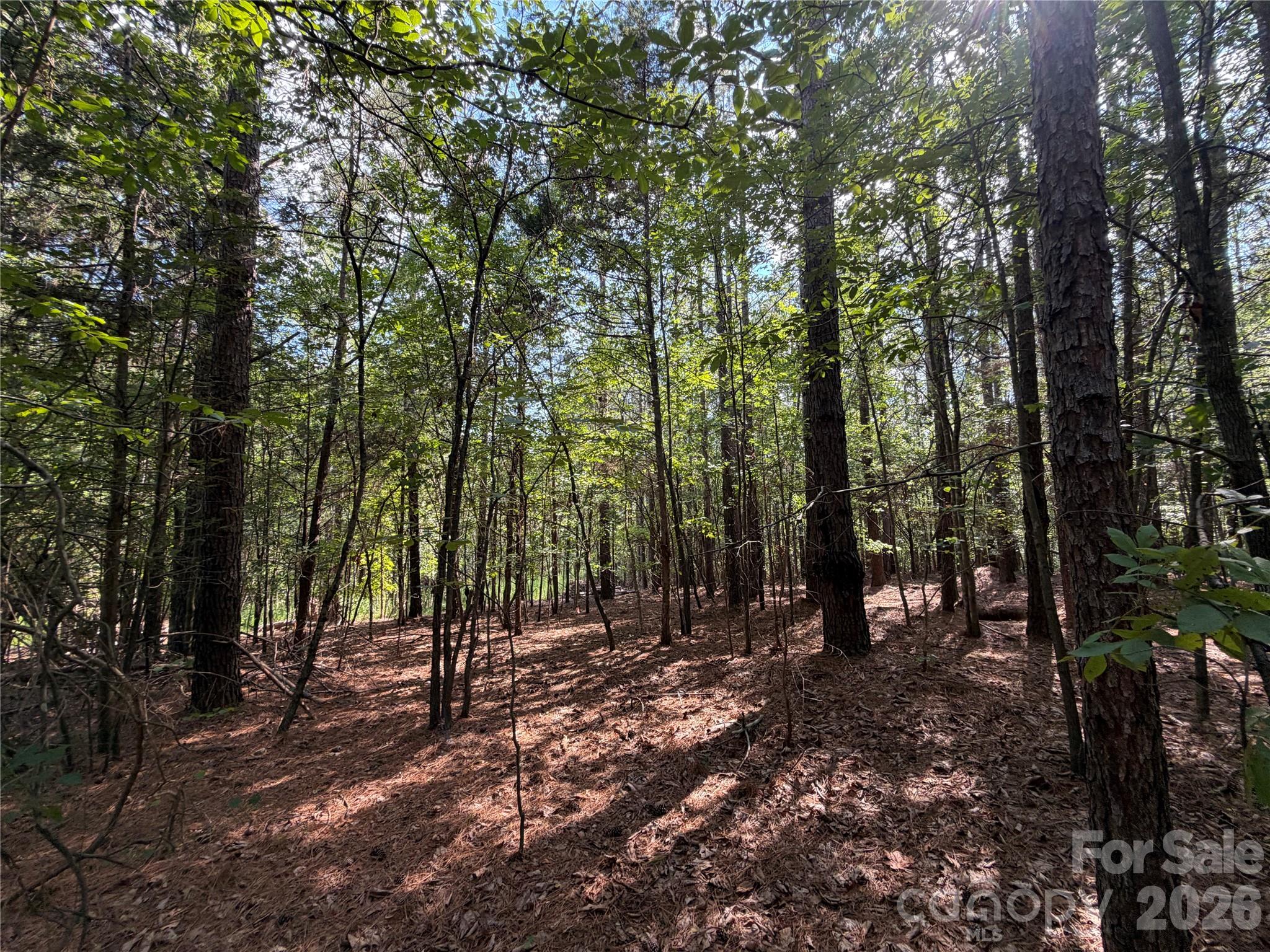 9212 Rustic Creek Trail Property Photo 35
