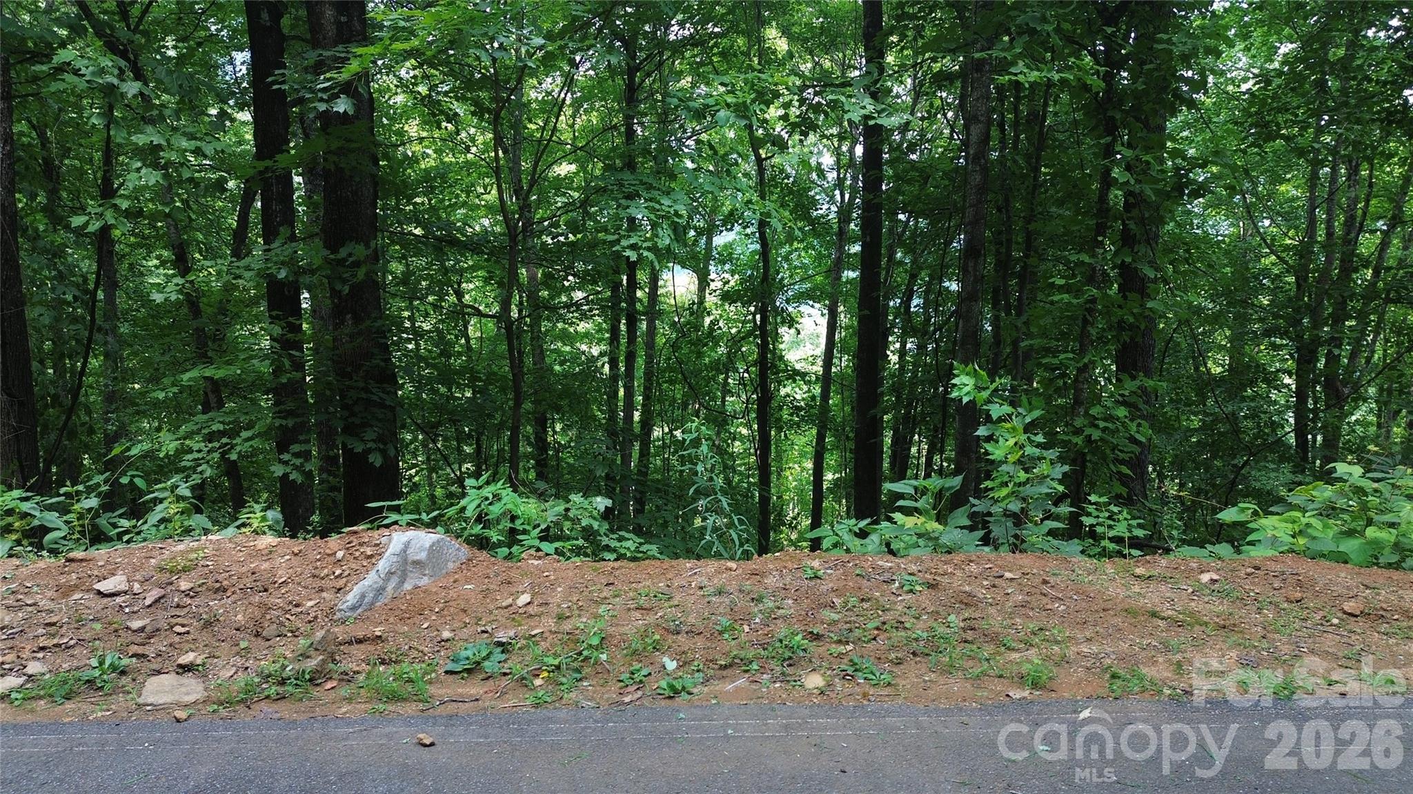 7 White Birch Court Property Photo 3