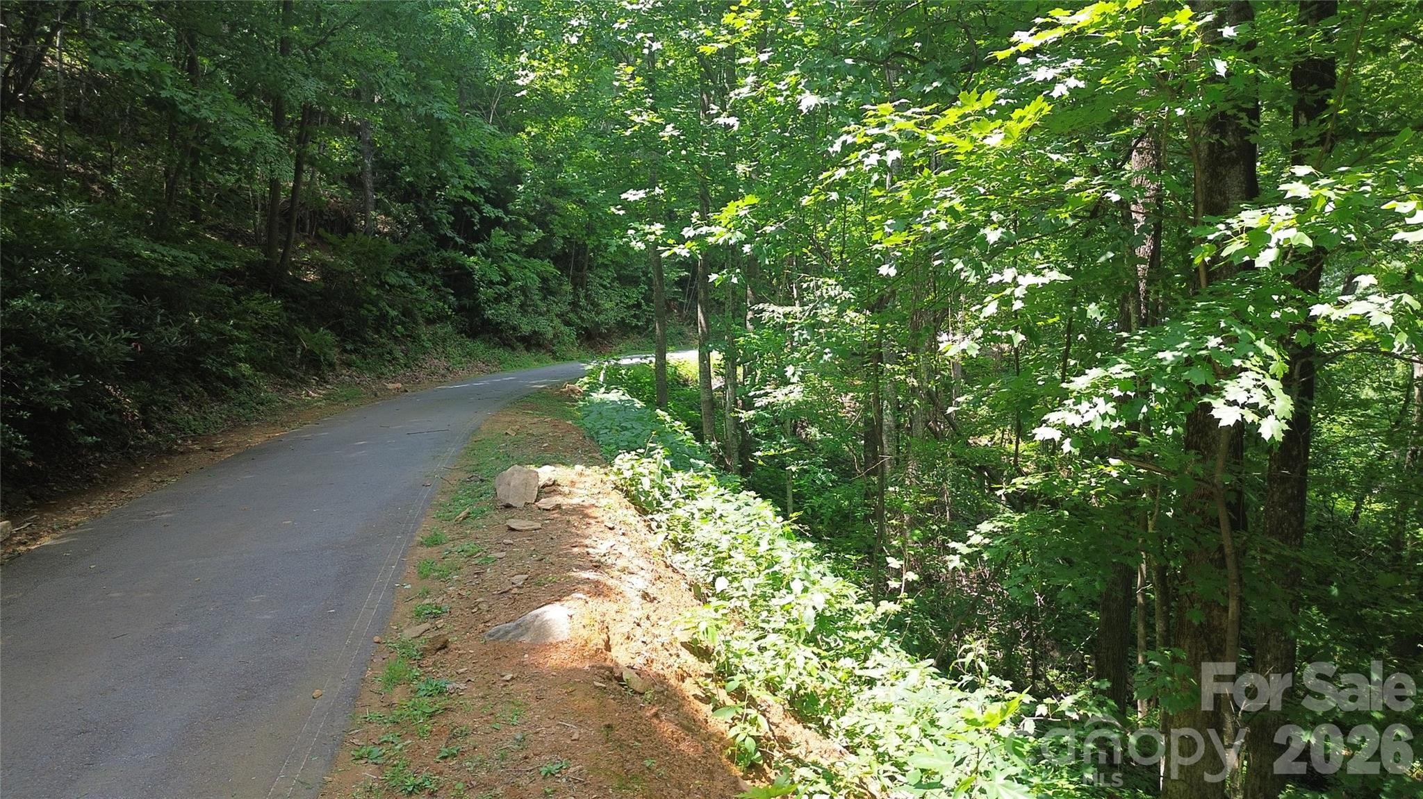 7 White Birch Court Property Photo 5