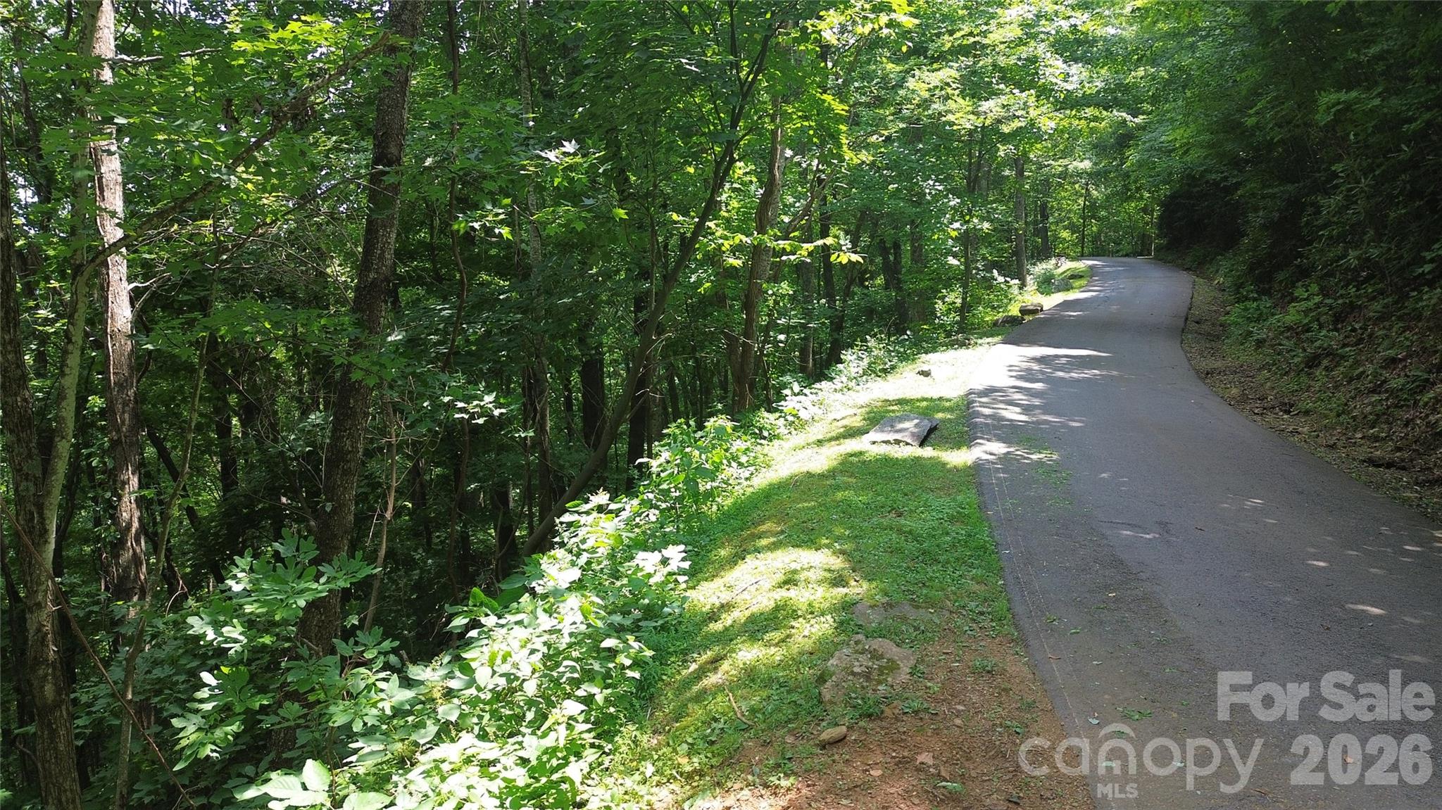 7 White Birch Court Property Photo 6