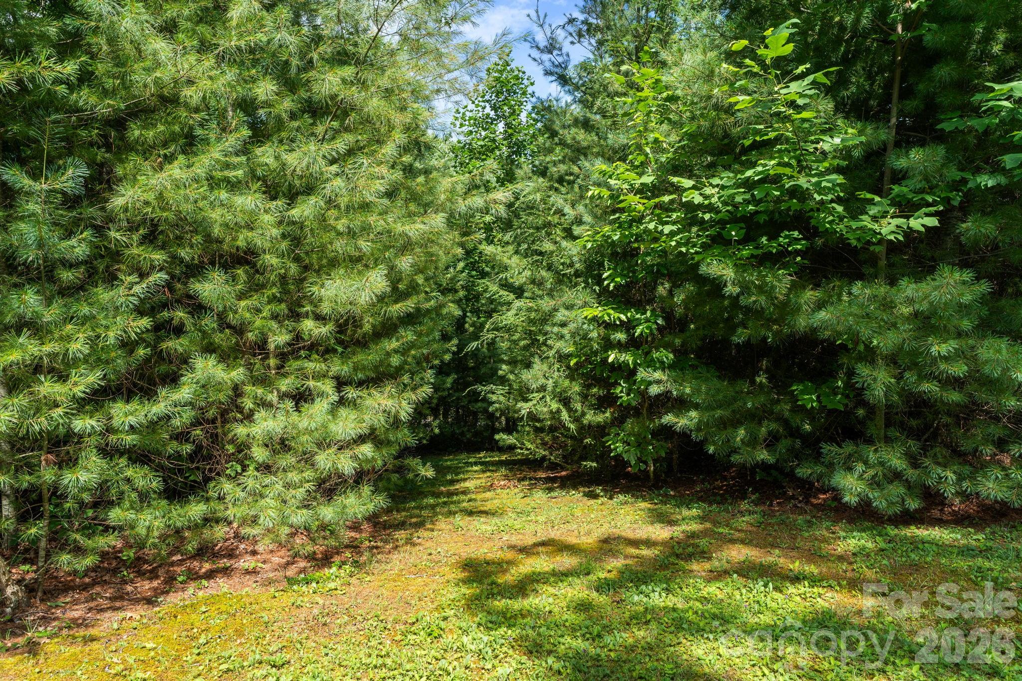 9081 Pittmans Gap Road Property Photo 43