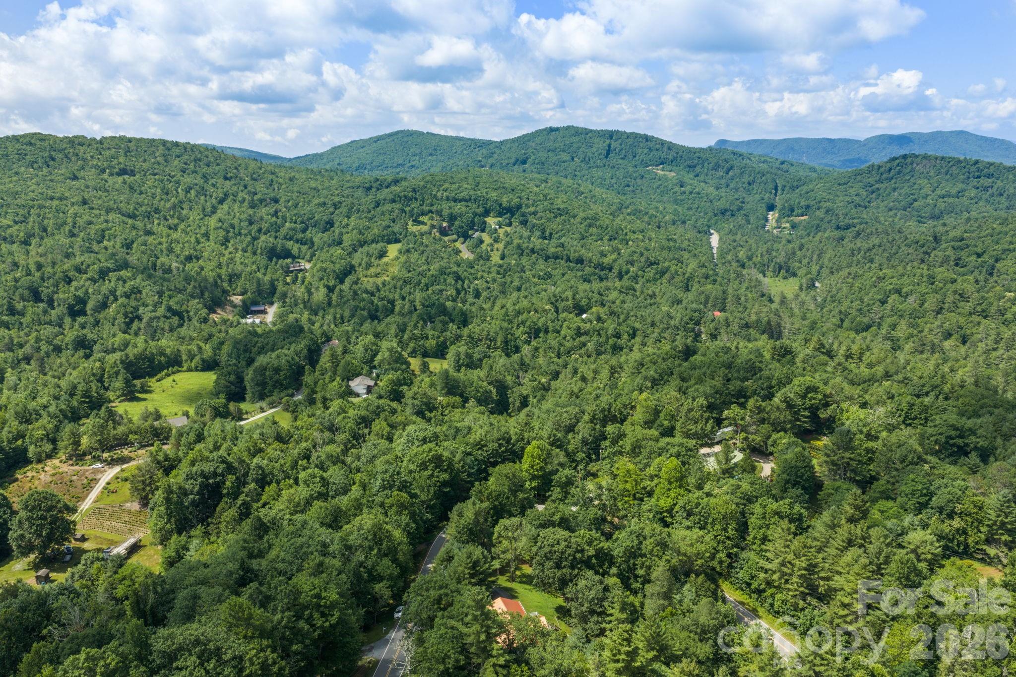 9081 Pittmans Gap Road Property Photo 46