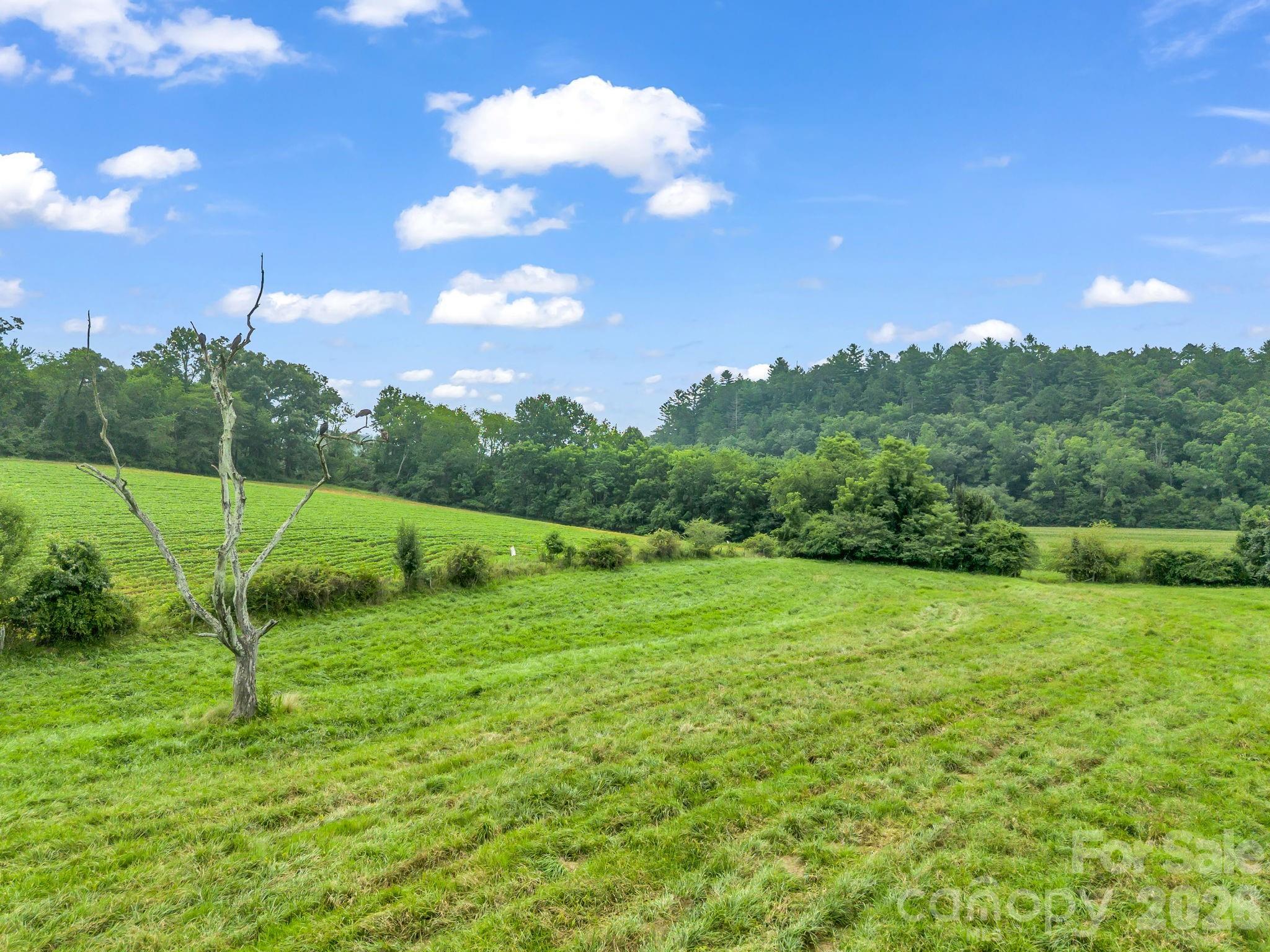 7513 Boylston Highway Property Photo 33