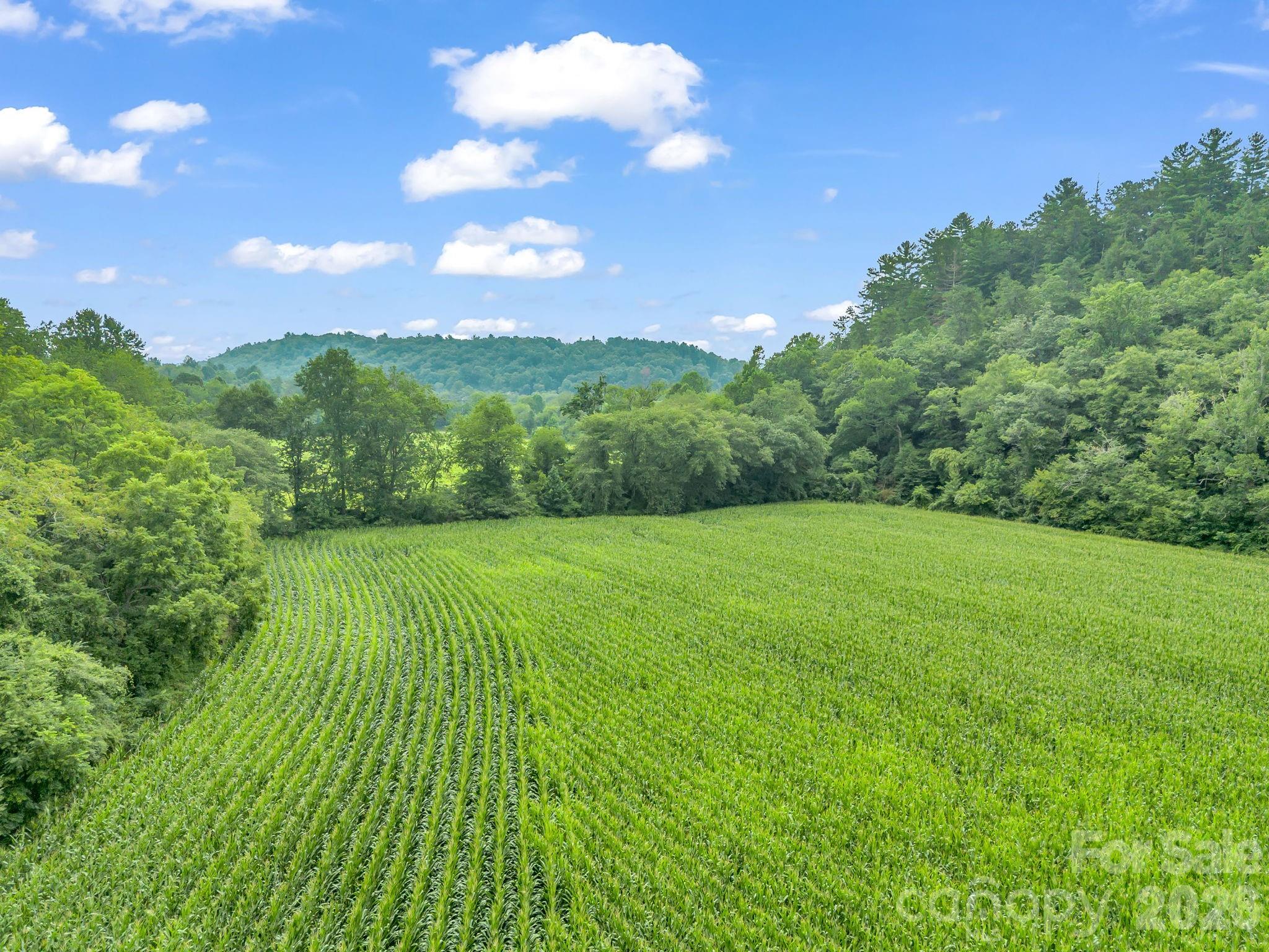 7513 Boylston Highway Property Photo 35