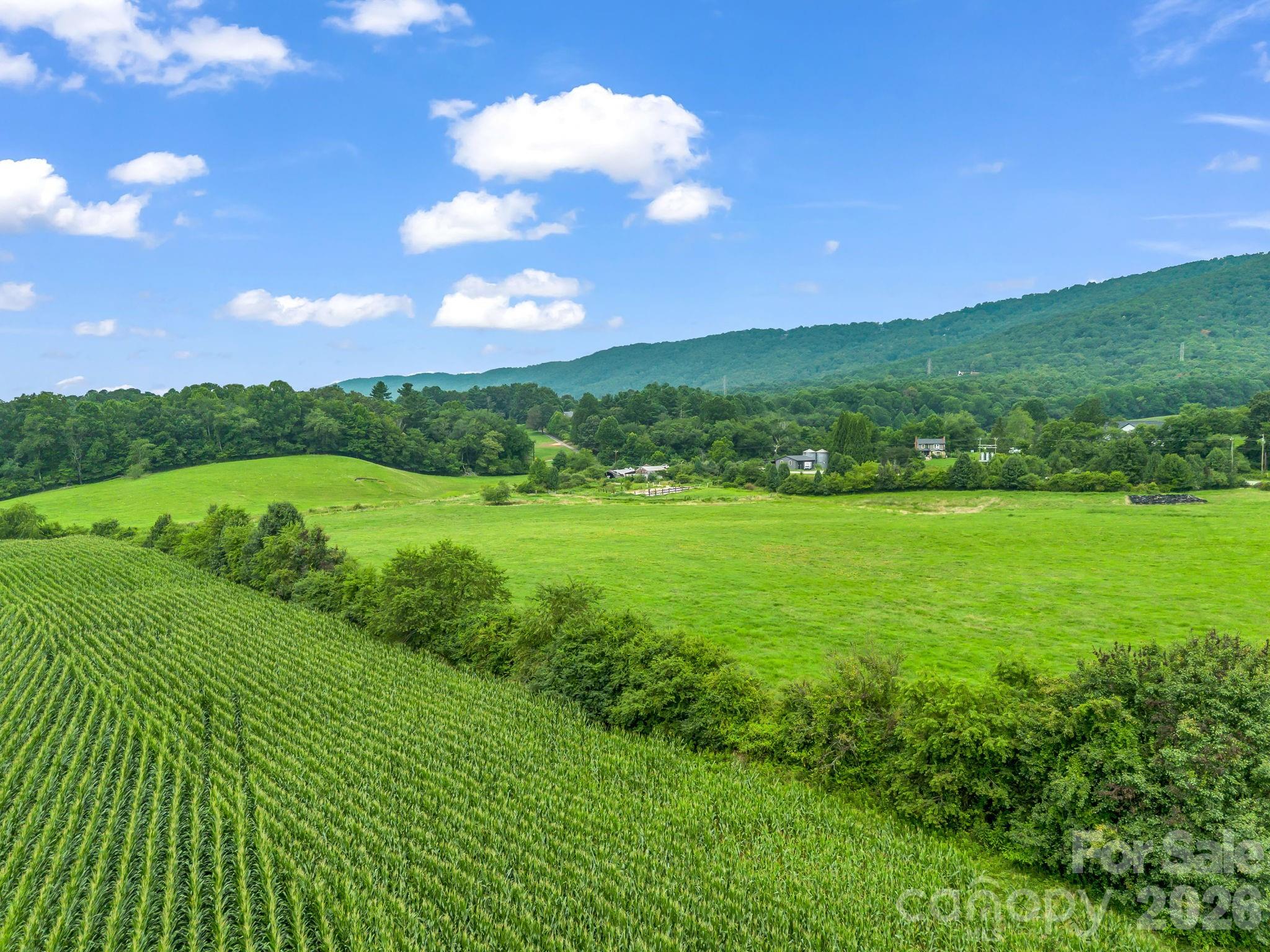 7513 Boylston Highway Property Photo 38