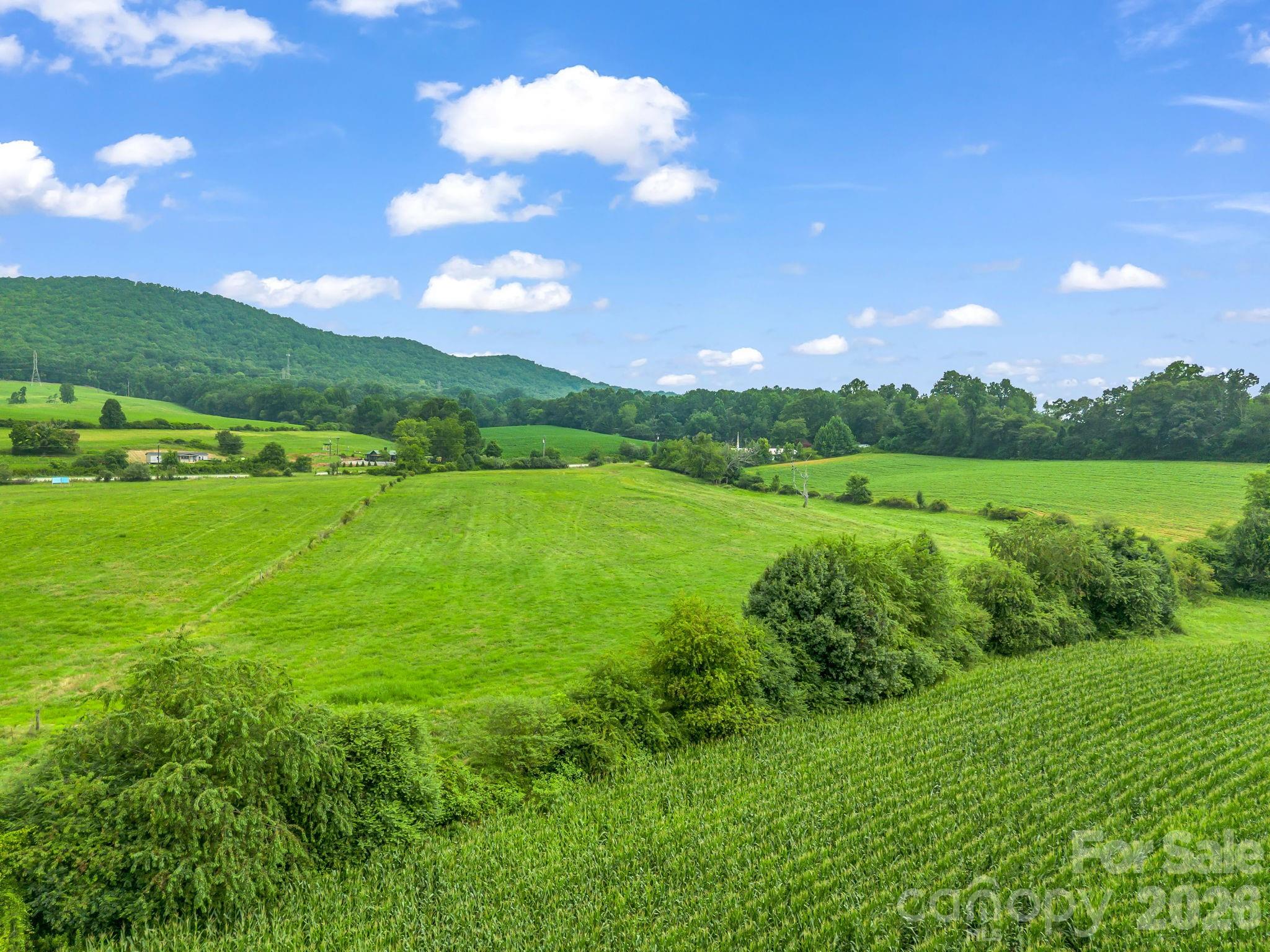 7513 Boylston Highway Property Photo 39