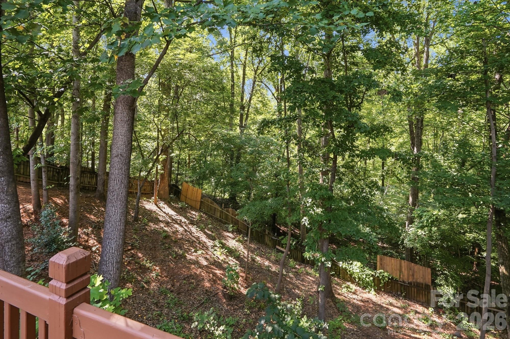 11630 Clingman Lane Property Photo 40