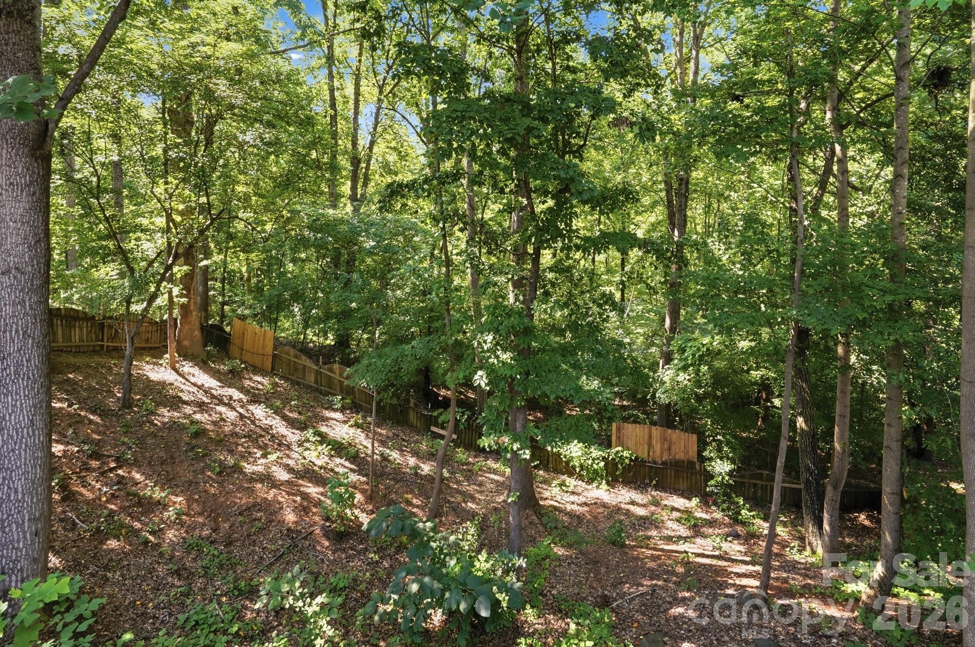 11630 Clingman Lane Property Photo 41