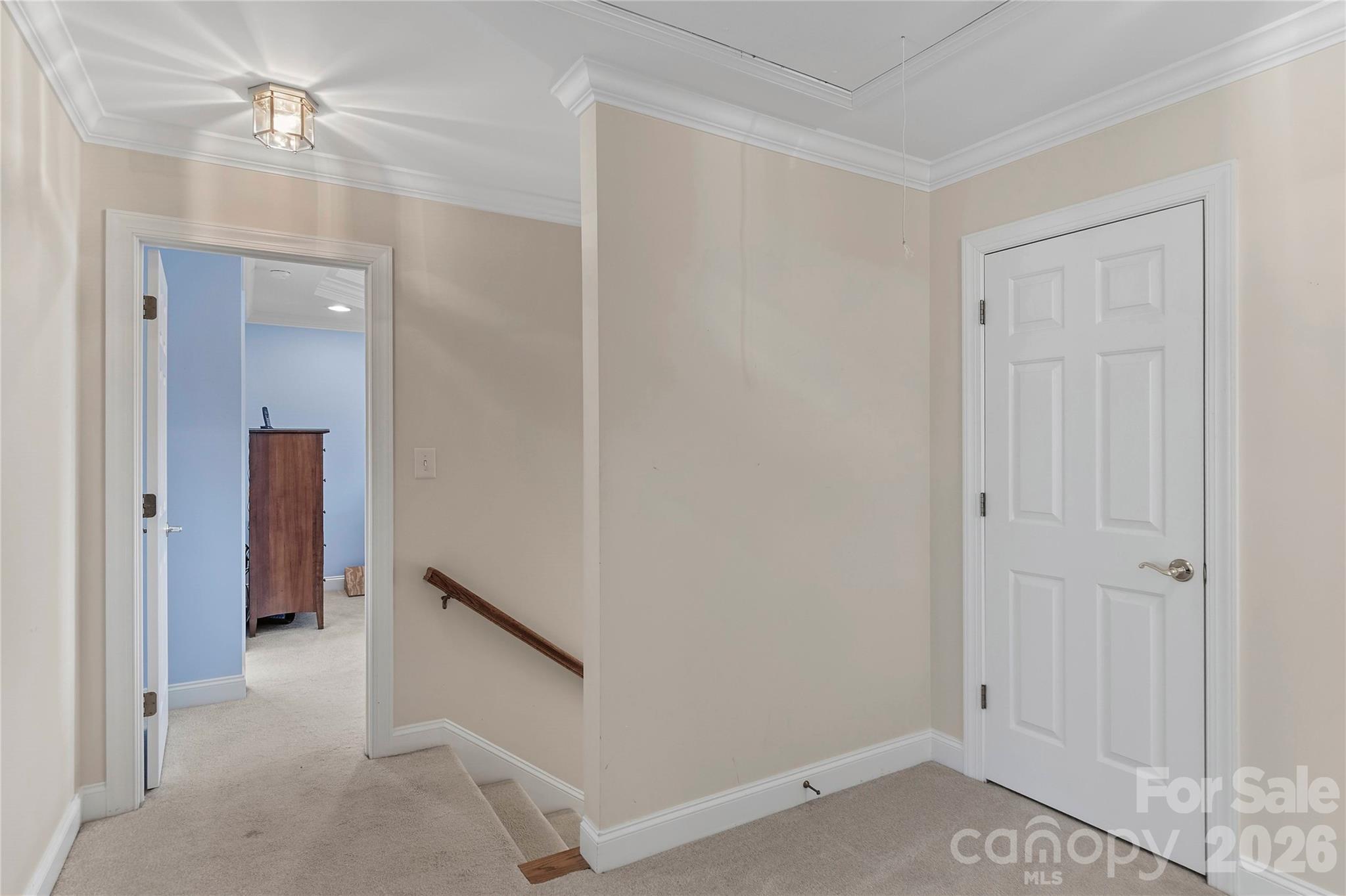 1869 Curraghmore Road Property Photo 19
