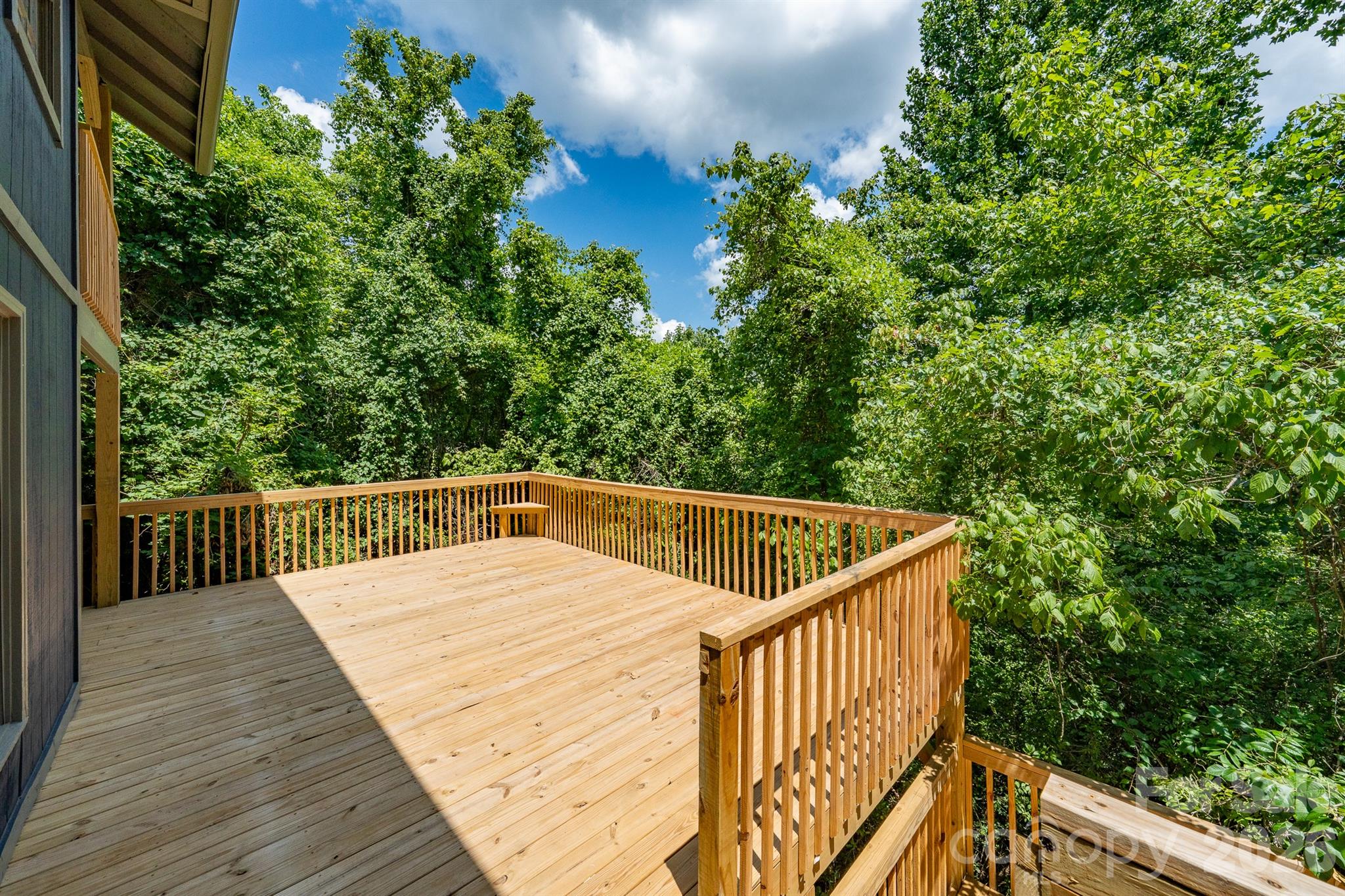 366 Cabin Hollow Drive Property Photo 14