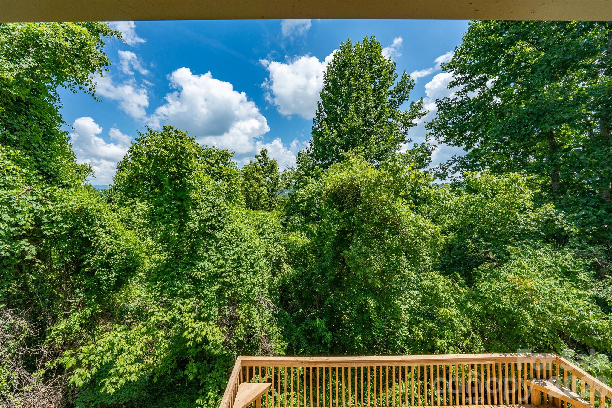 366 Cabin Hollow Drive Property Photo 34