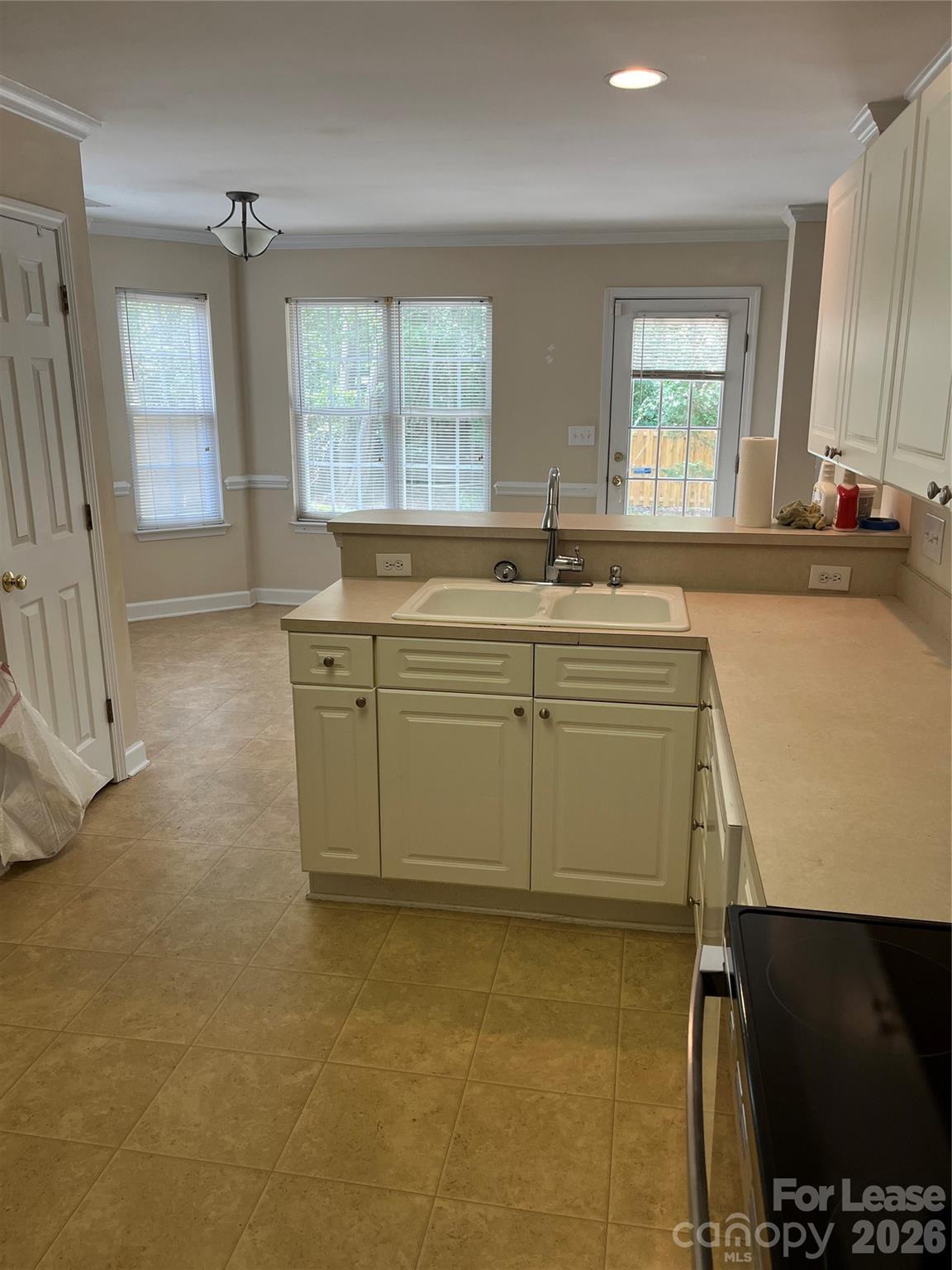 2919 Springs Drive Property Photo 10