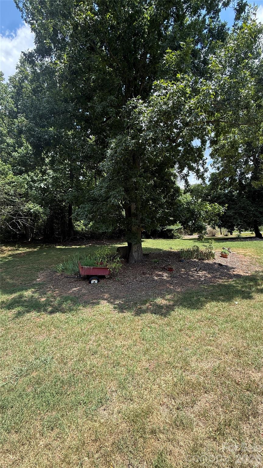 3858 Dover Street Property Photo 25