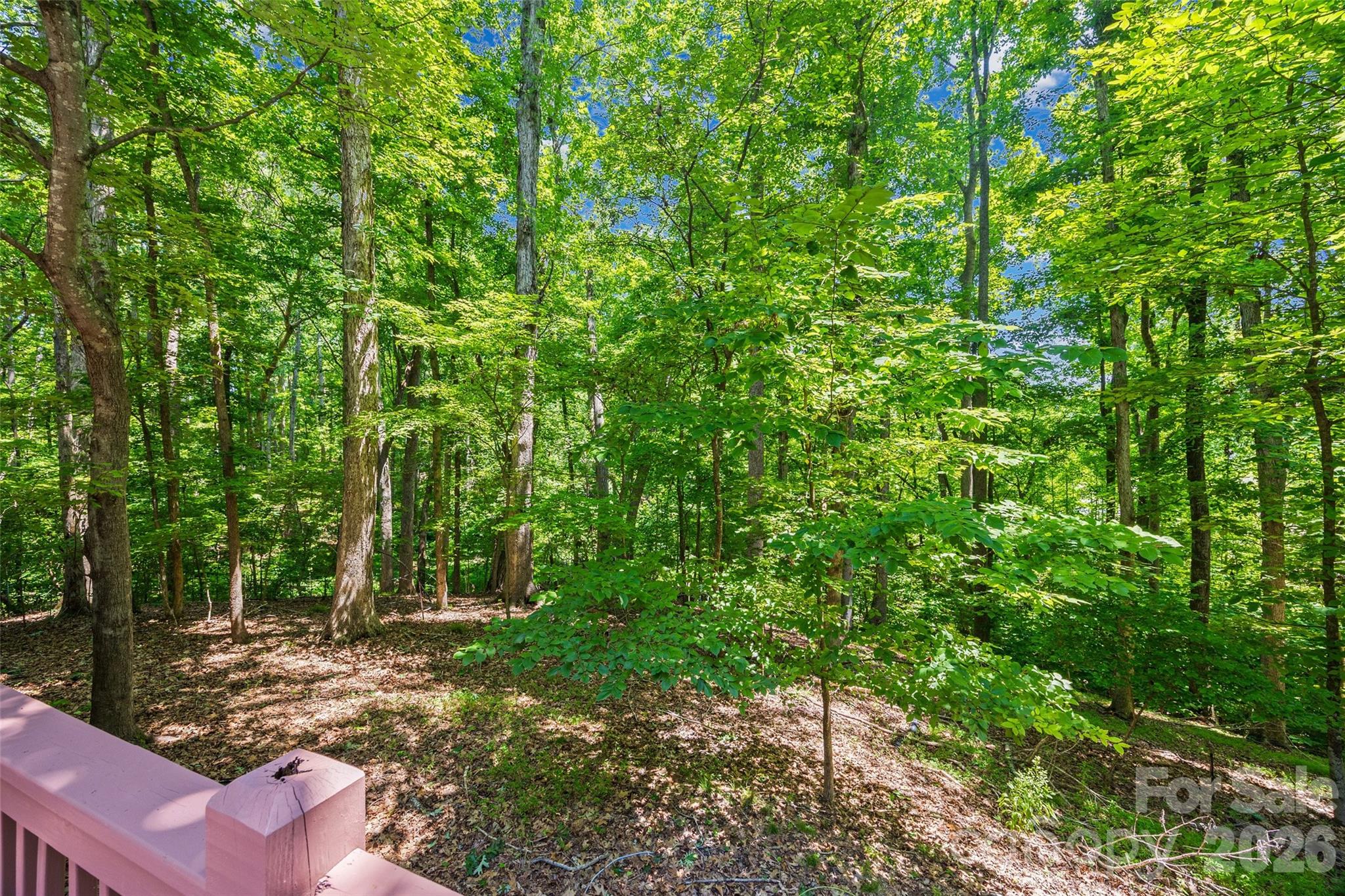 1289 Centennial Drive Property Photo 38