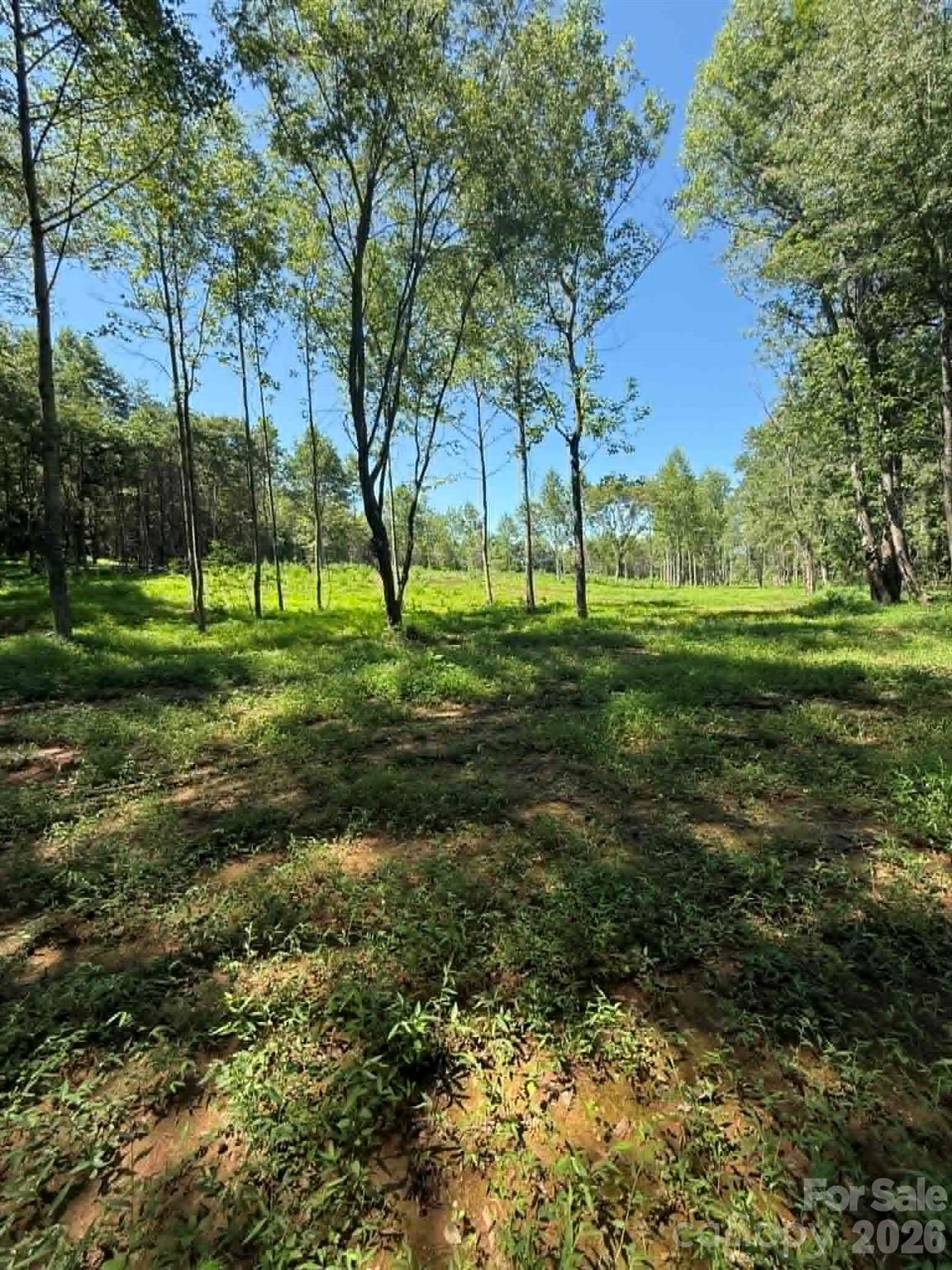 2633 Sprouse Road Property Photo 12