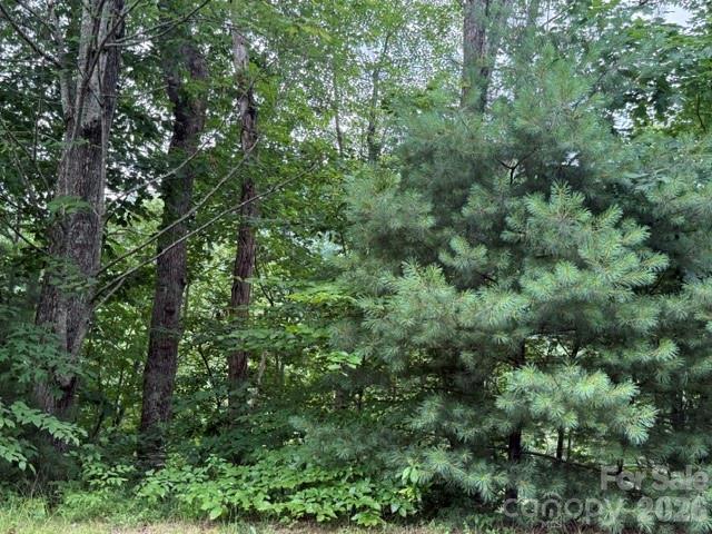 12 Silverstone Drive Property Photo 3