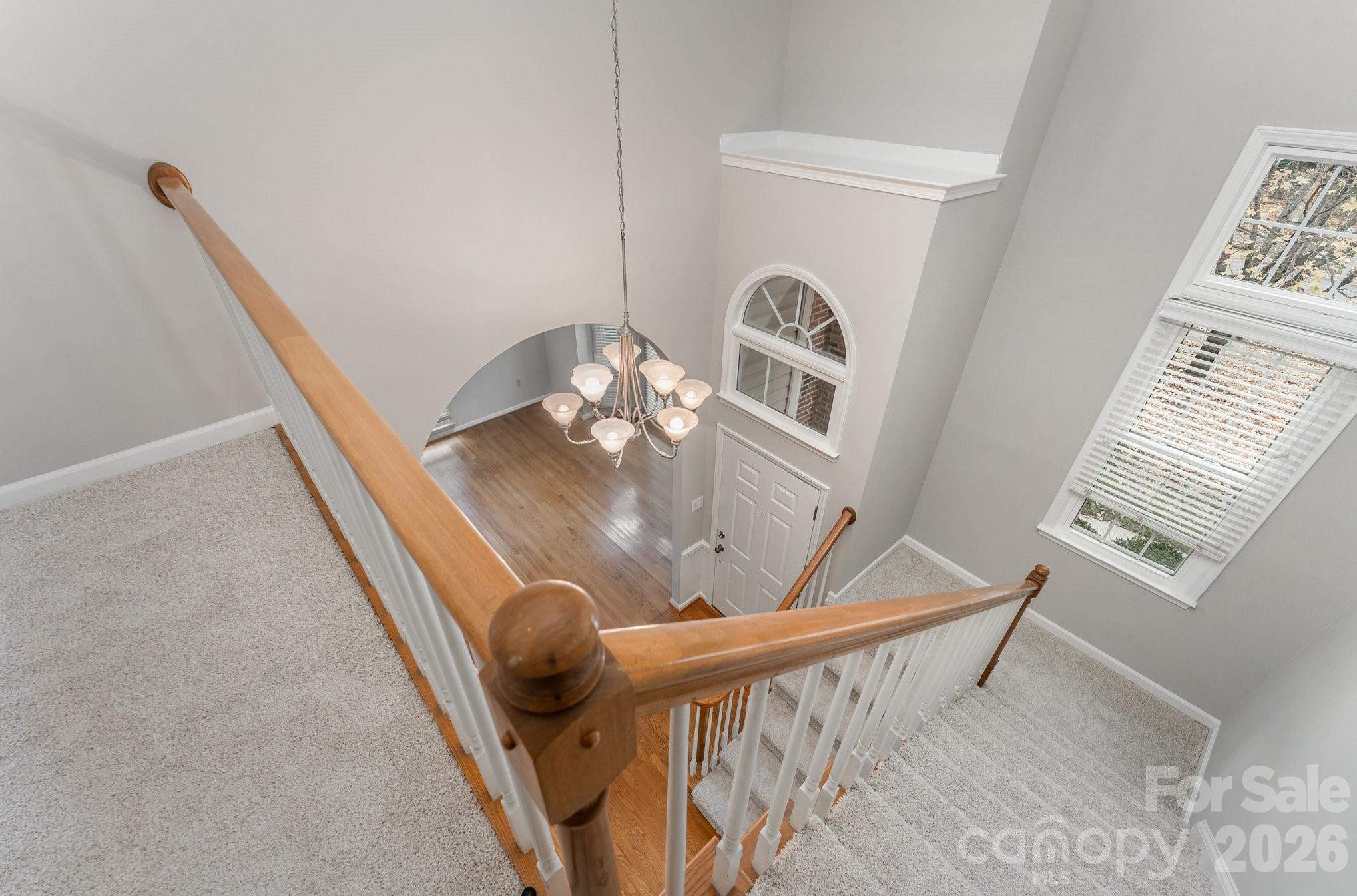 5923 Swanston Drive Property Photo 20