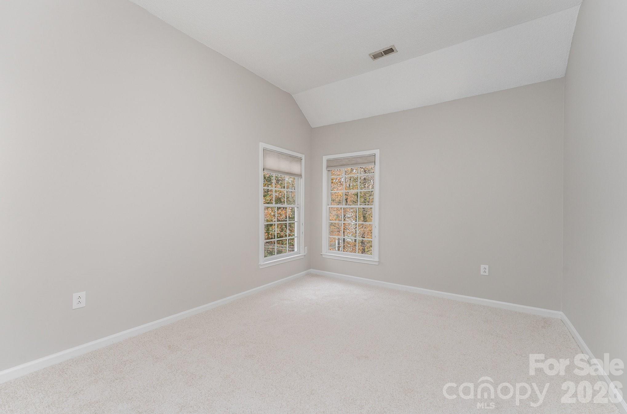 5923 Swanston Drive Property Photo 29