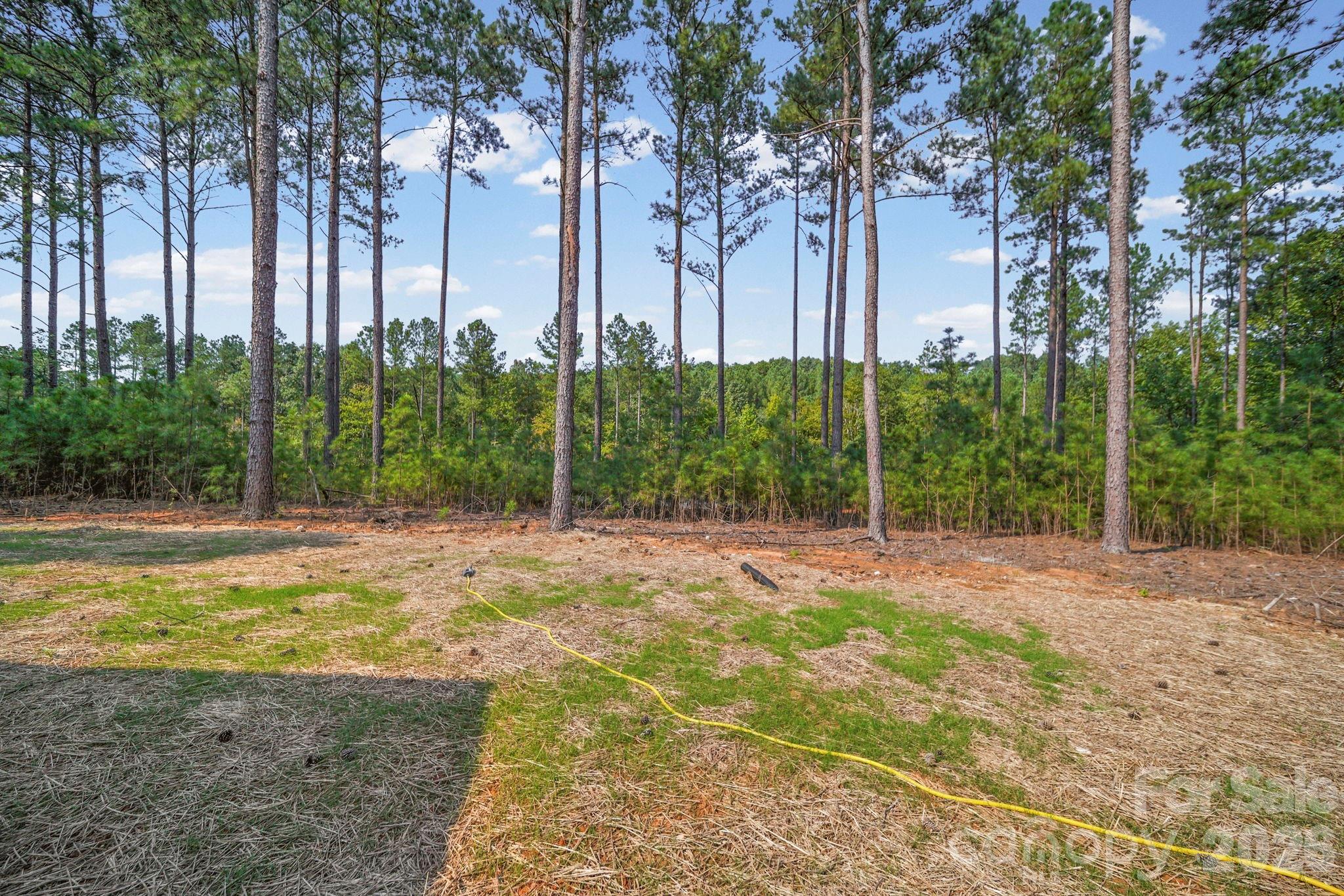 224 Plantation Way Property Photo 35