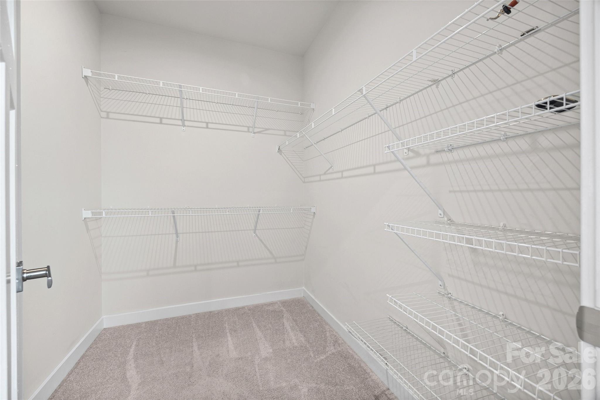 928 Portrush Lane Property Photo 29