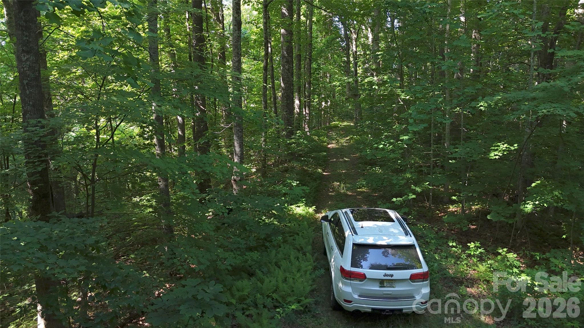 454 Forest Brook Road Property Photo 3