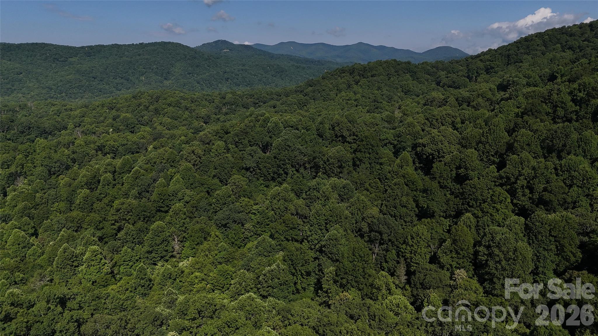 454 Forest Brook Road Property Photo 4