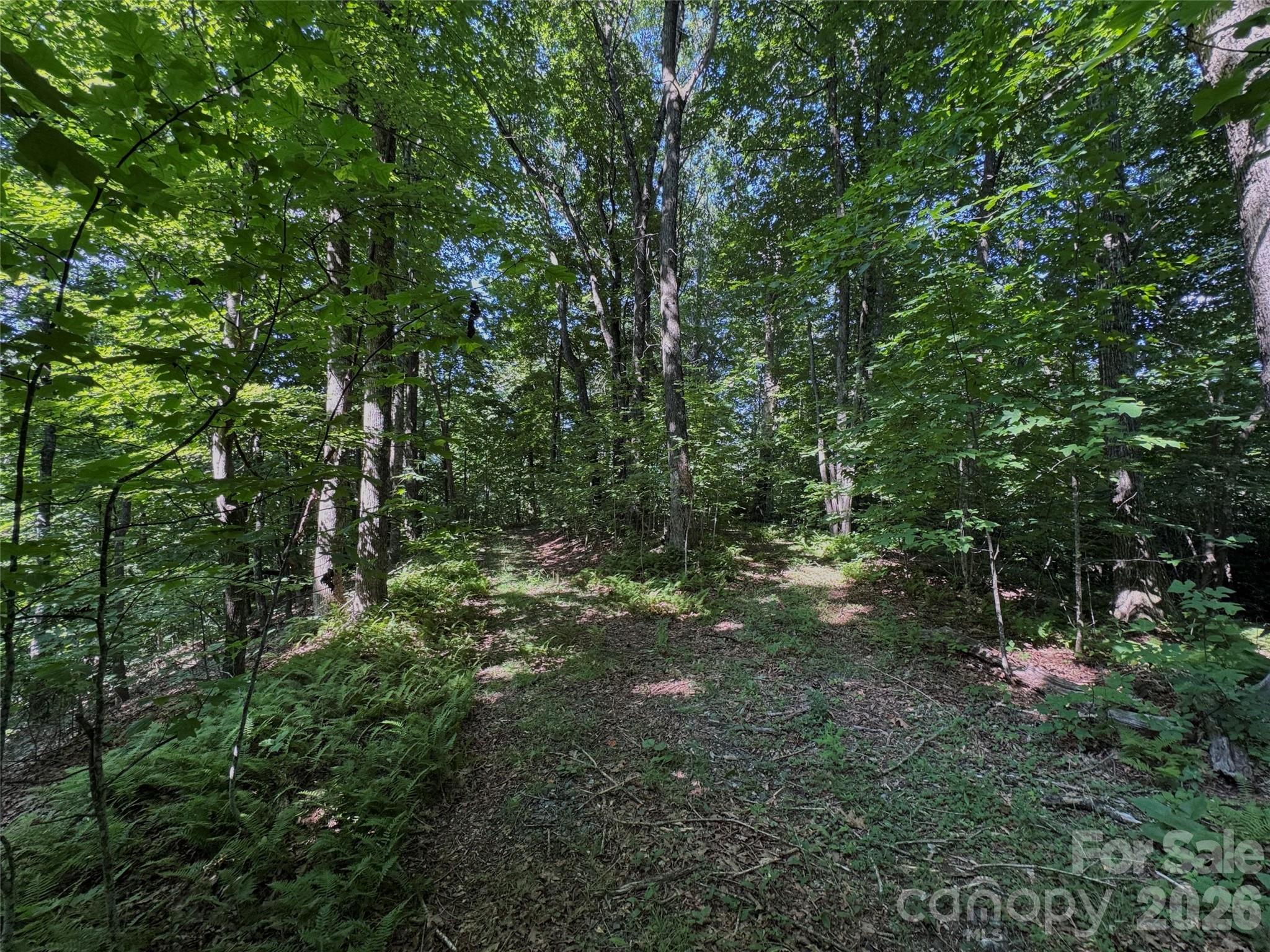 454 Forest Brook Road Property Photo 6