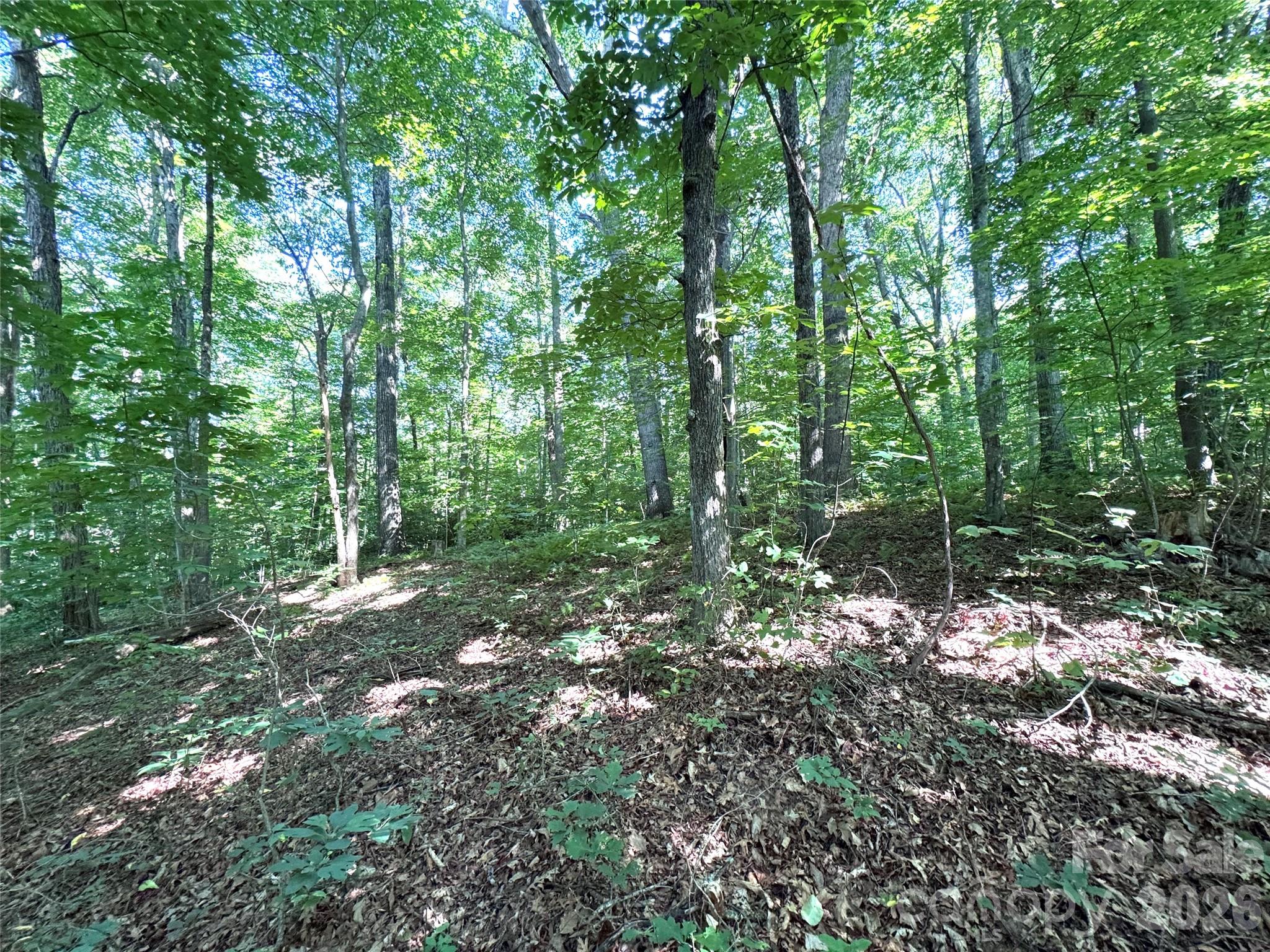 454 Forest Brook Road Property Photo 7