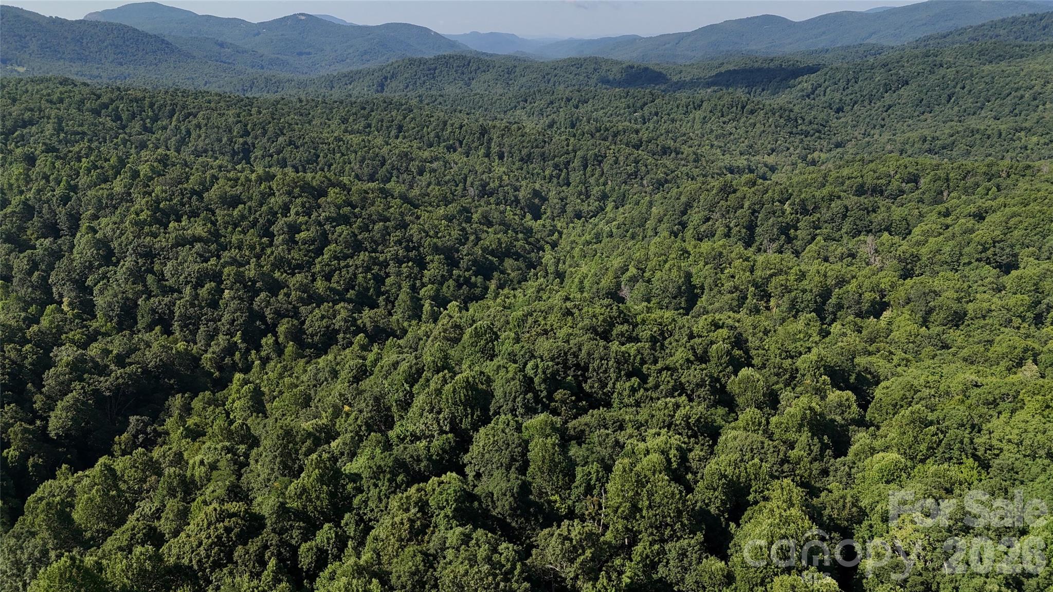 454 Forest Brook Road Property Photo 11