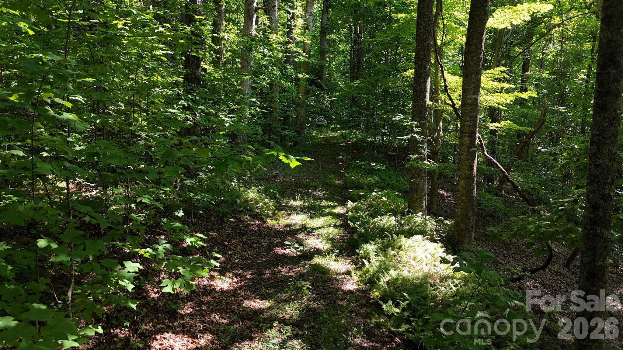 454 Forest Brook Road Property Photo 15