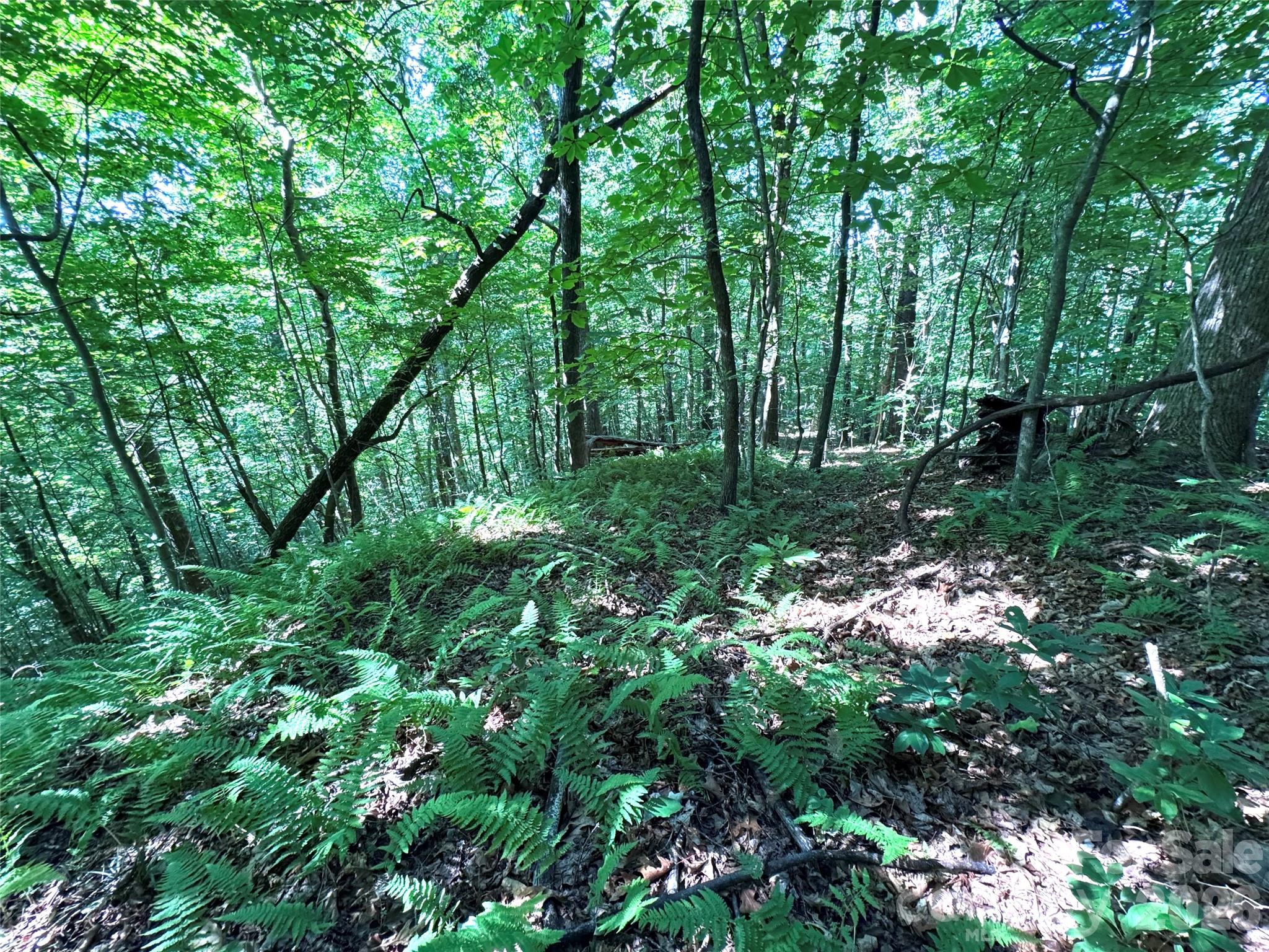 454 Forest Brook Road Property Photo 16