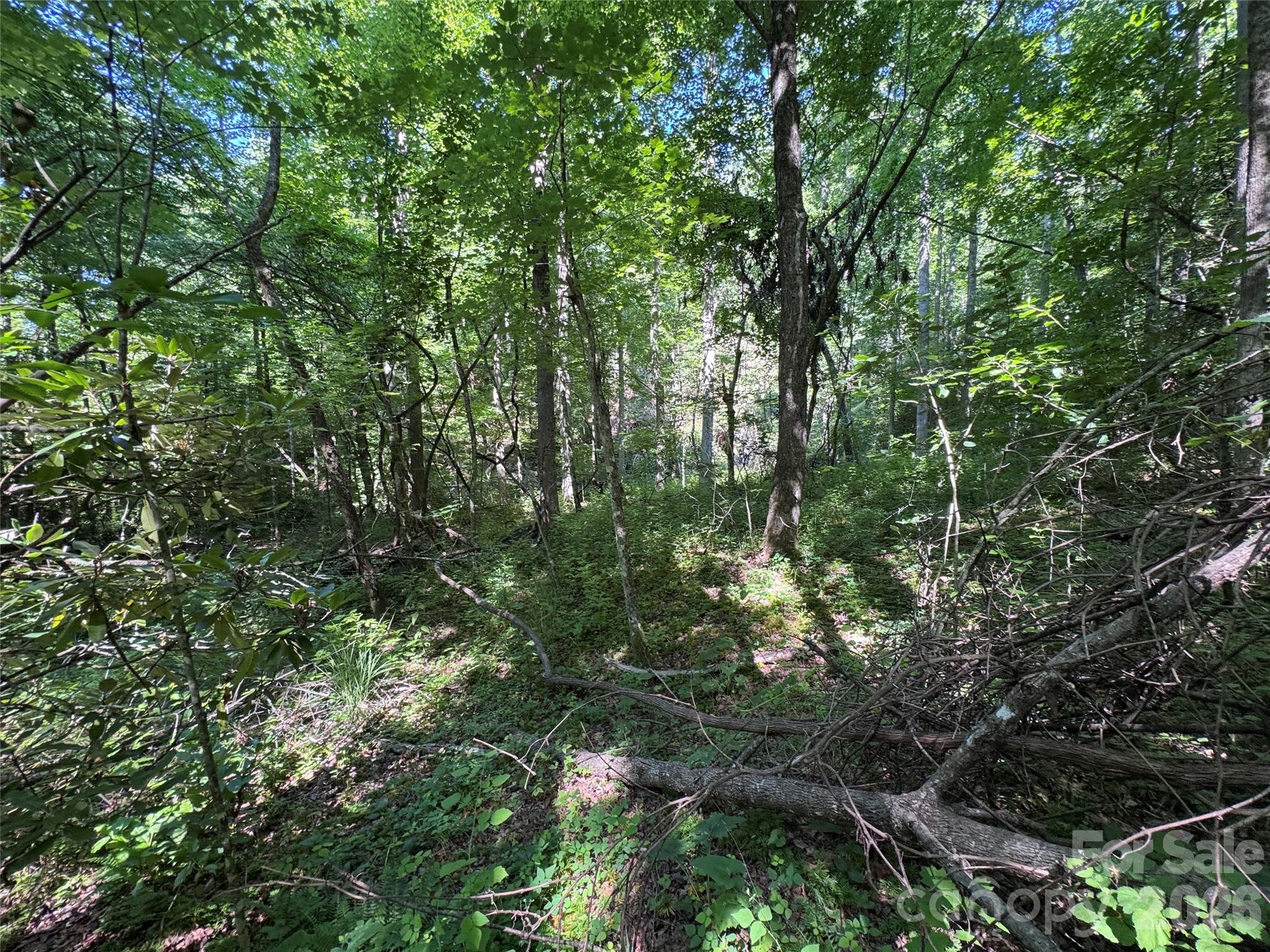 454 Forest Brook Road Property Photo 17