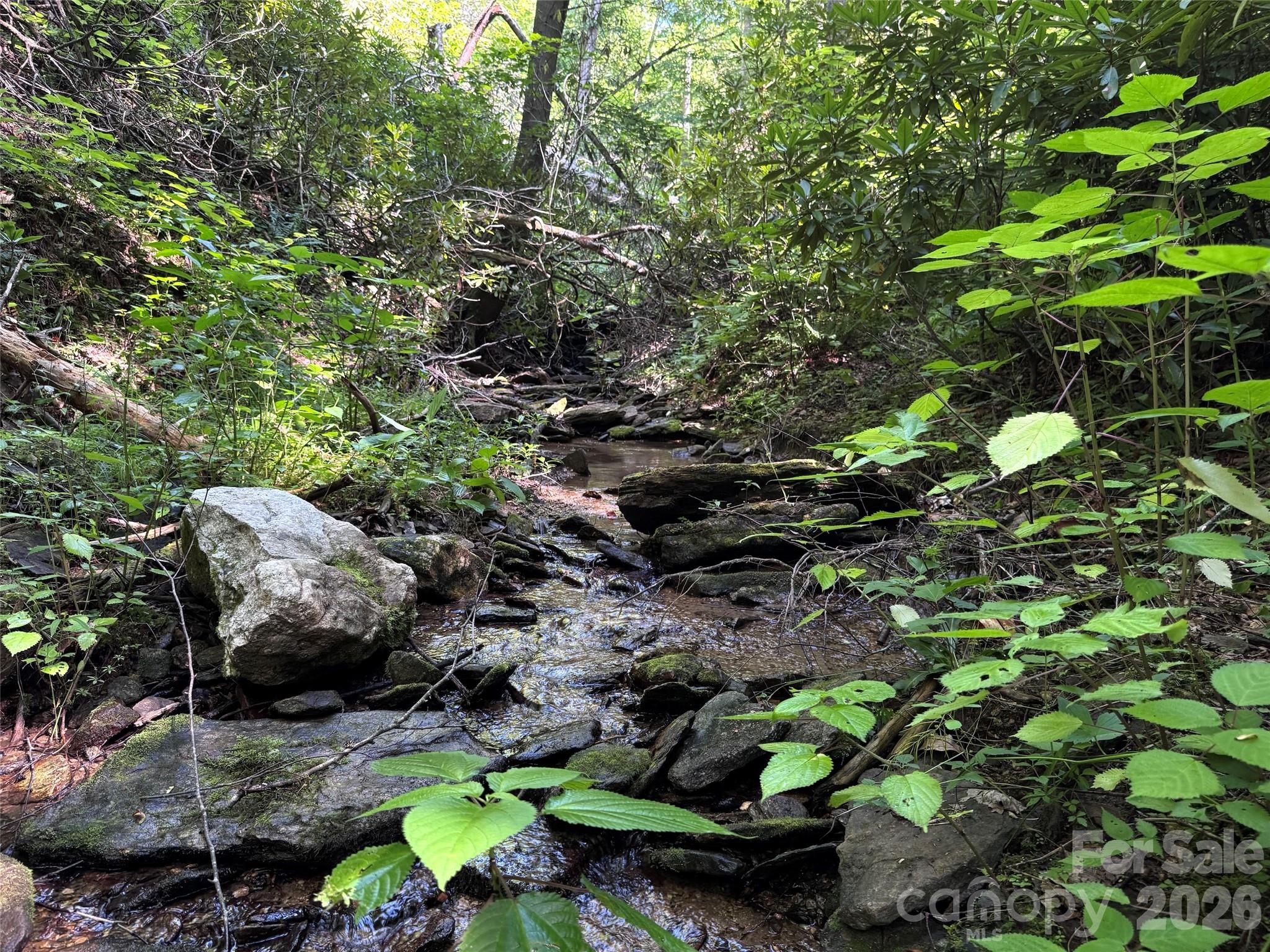 454 Forest Brook Road Property Photo 18