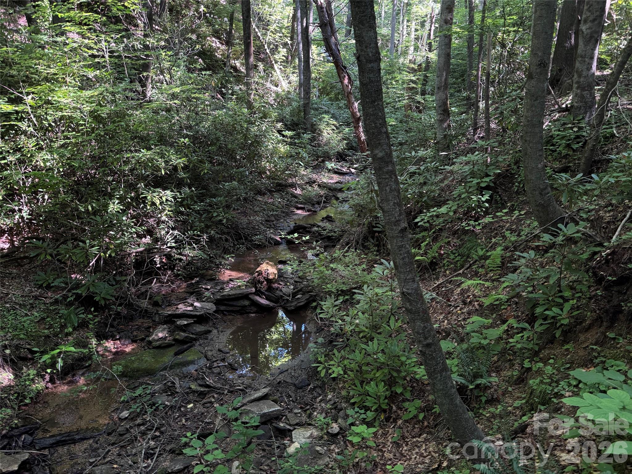 454 Forest Brook Road Property Photo 19
