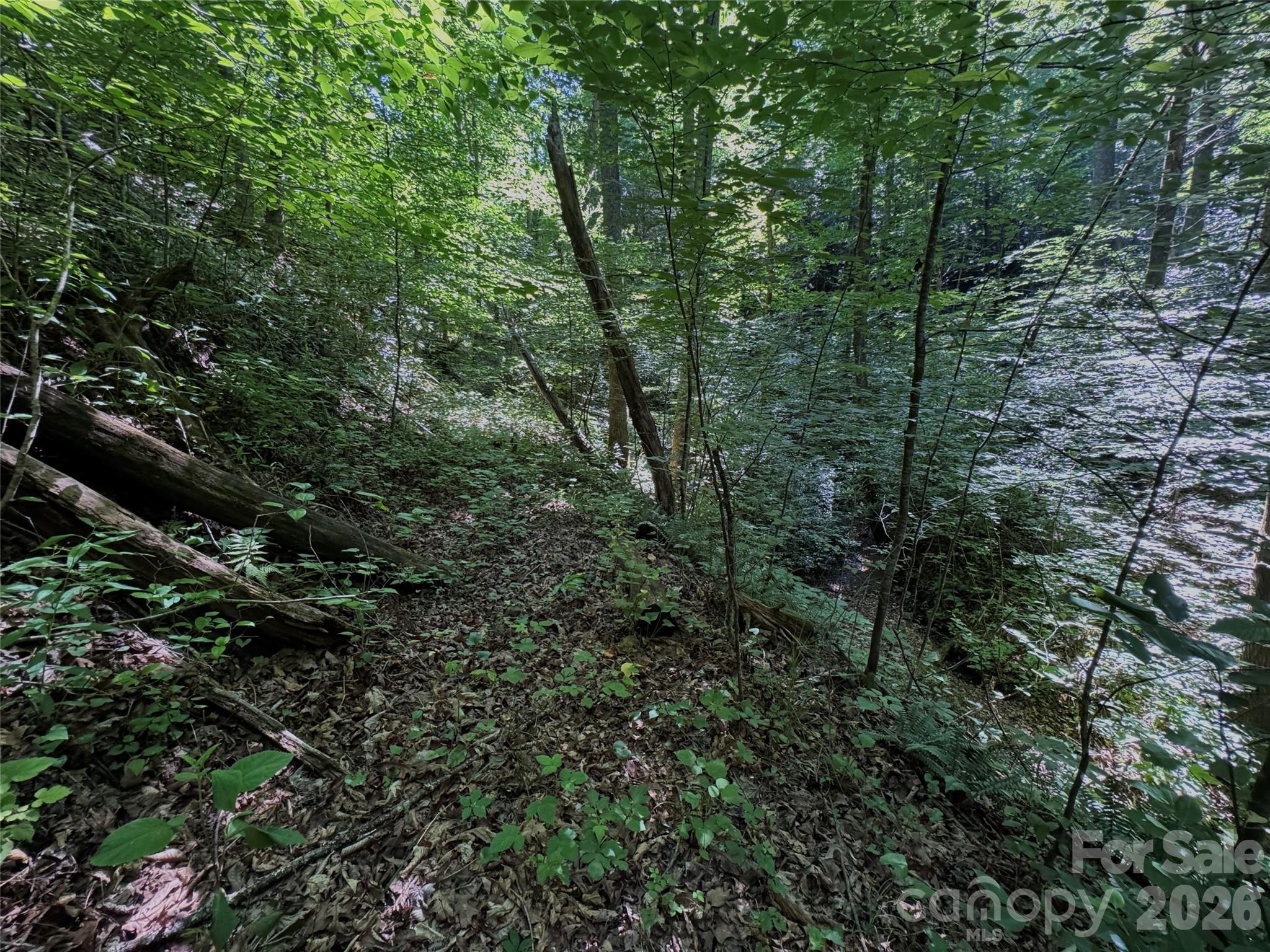 454 Forest Brook Road Property Photo 20